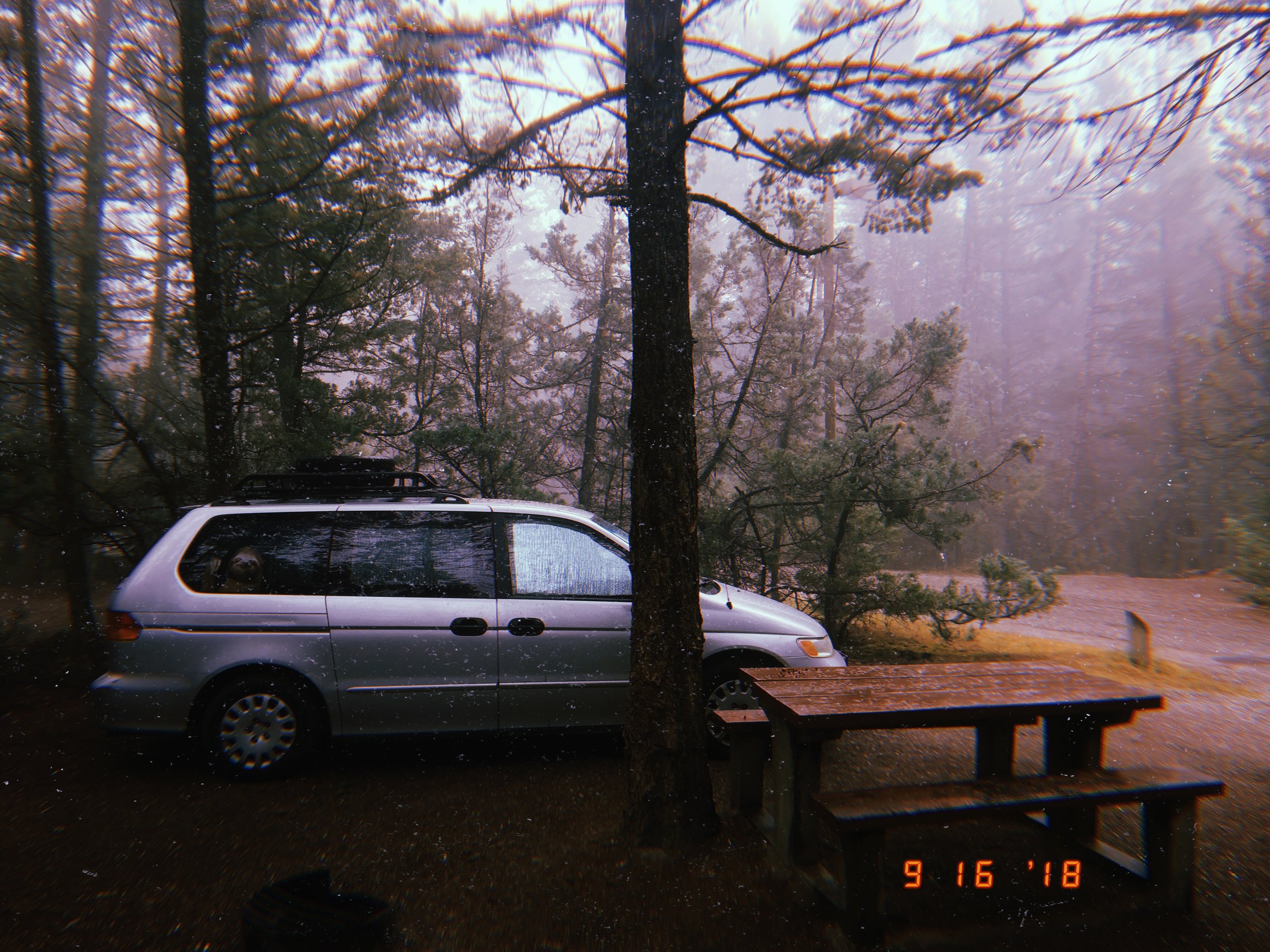 2018-09-17 09:55:28.893.JPG