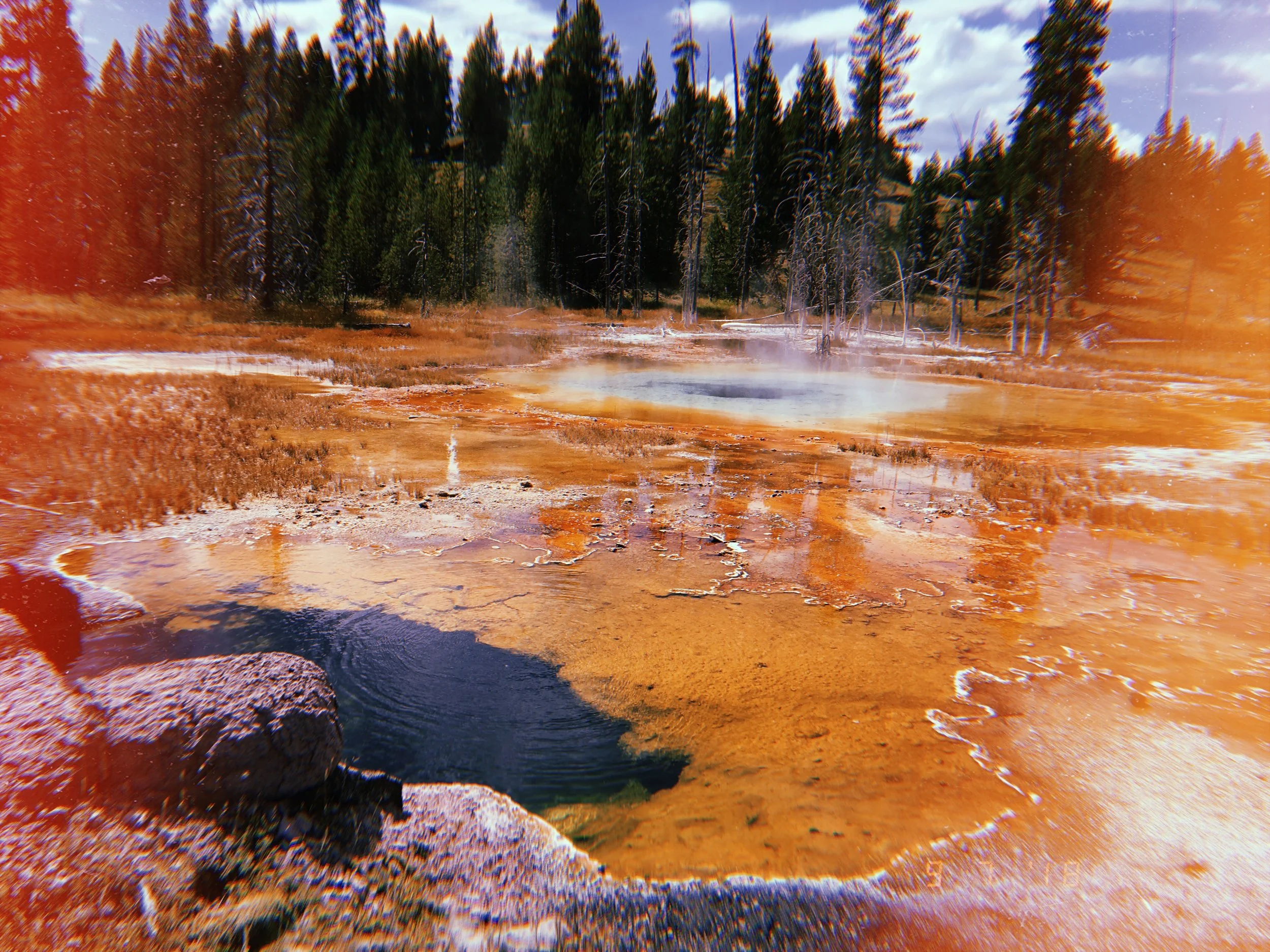 2018-09-08 13:37:01.125.JPG