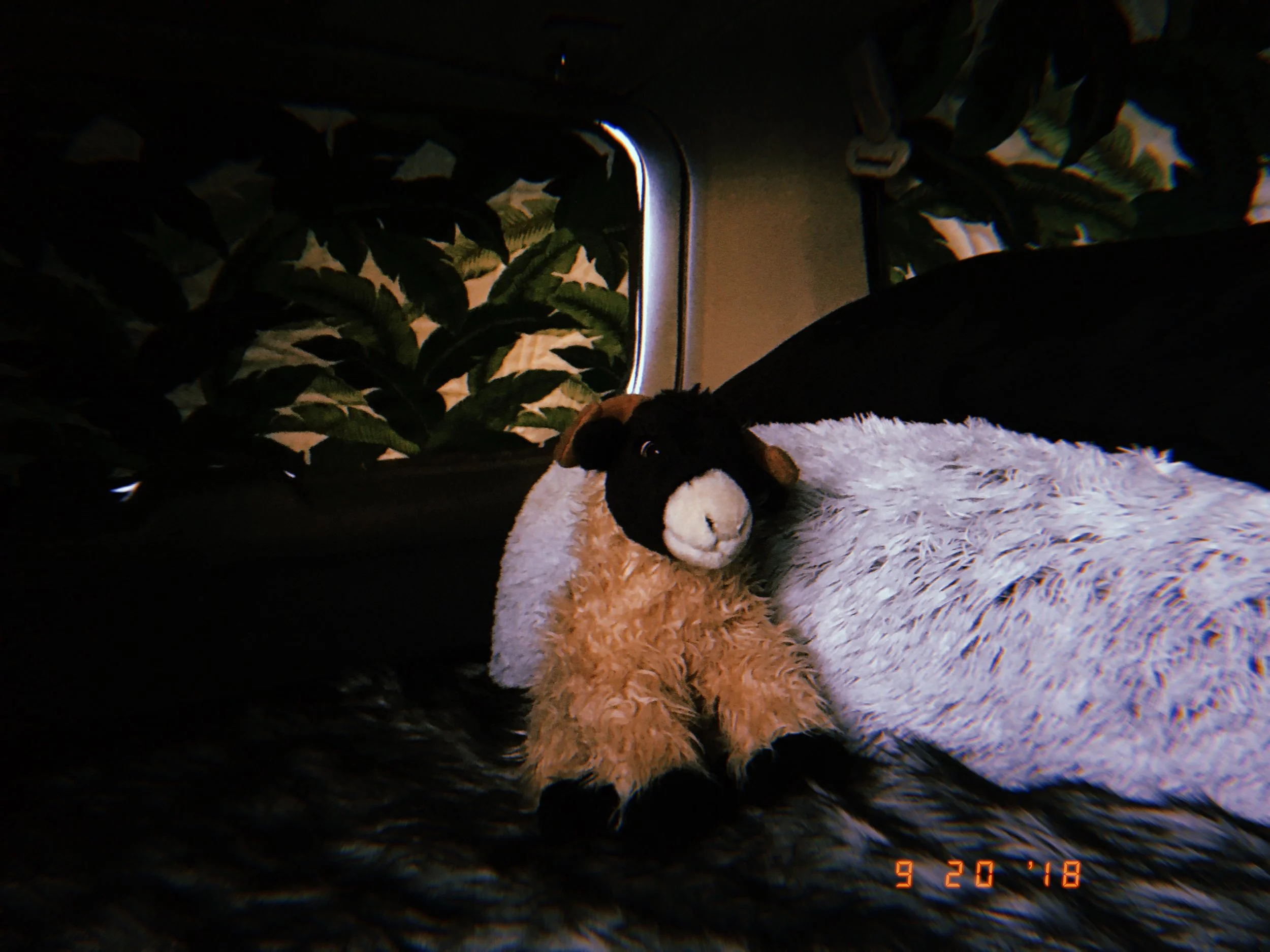 2018-09-24 00:58:15.045.jpeg