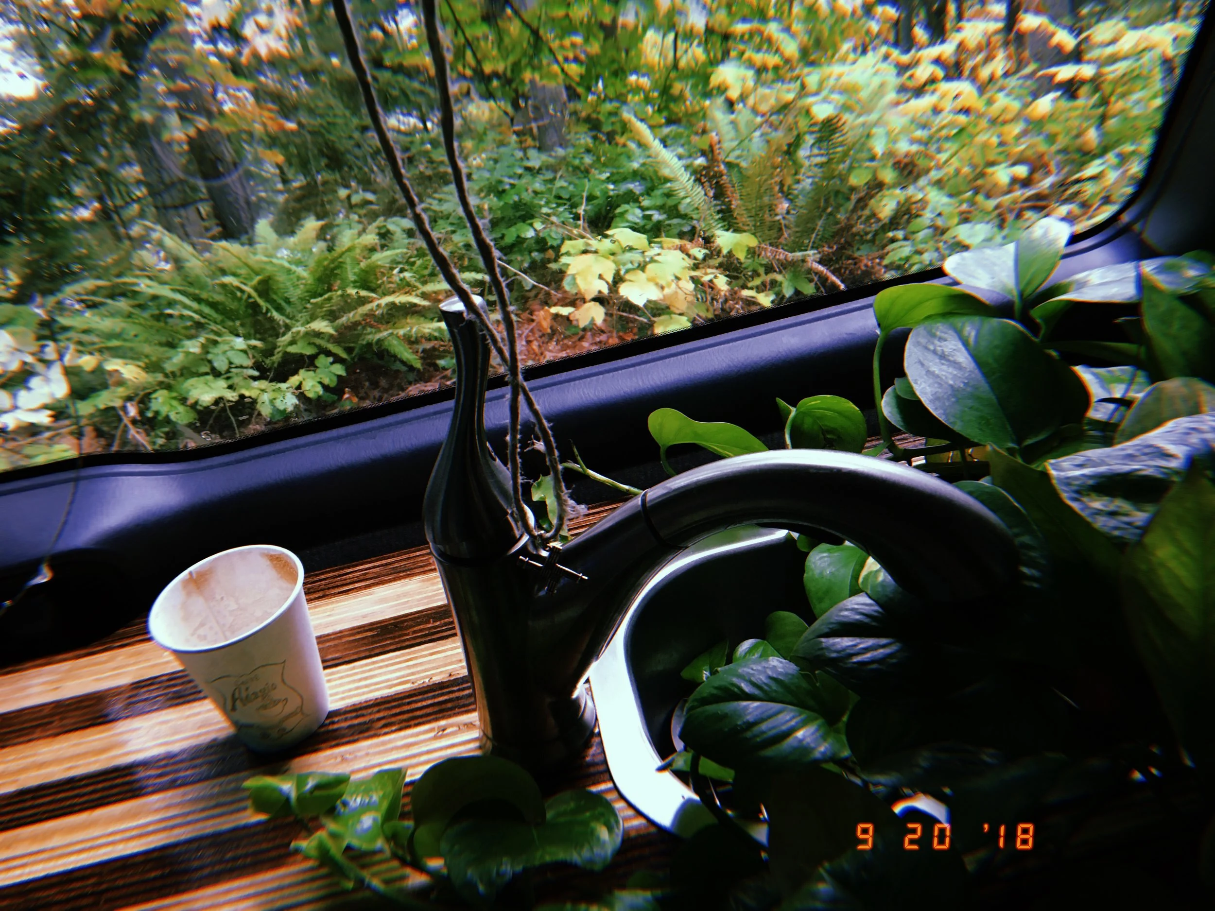 2018-09-24 00:58:18.243.jpeg