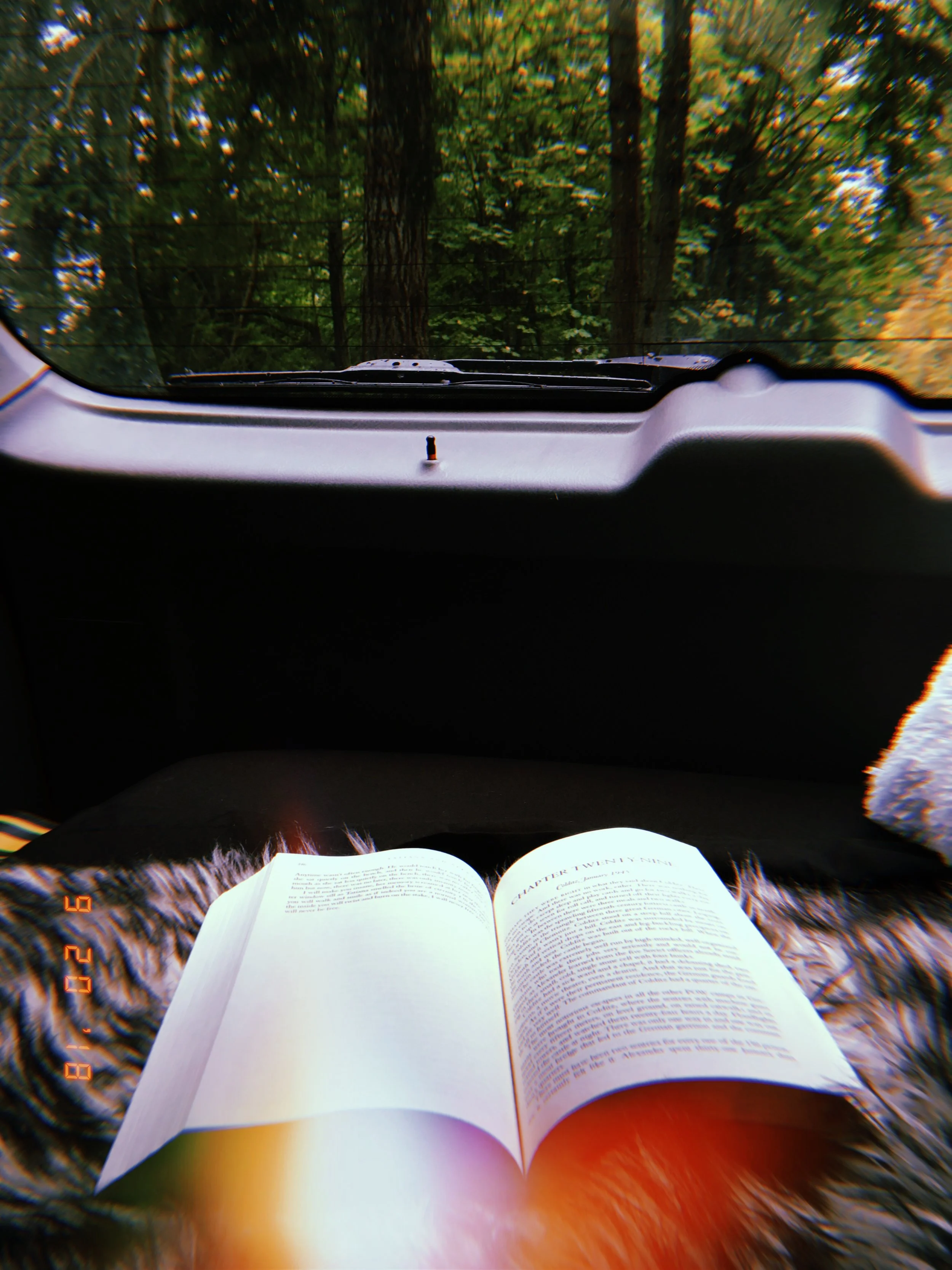 2018-09-24 00:58:20.749.jpeg