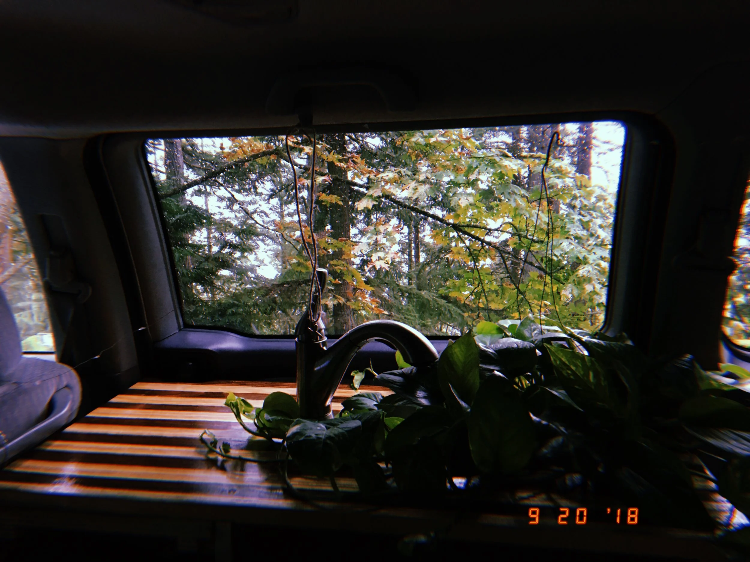 2018-09-24 00:58:17.153.jpeg