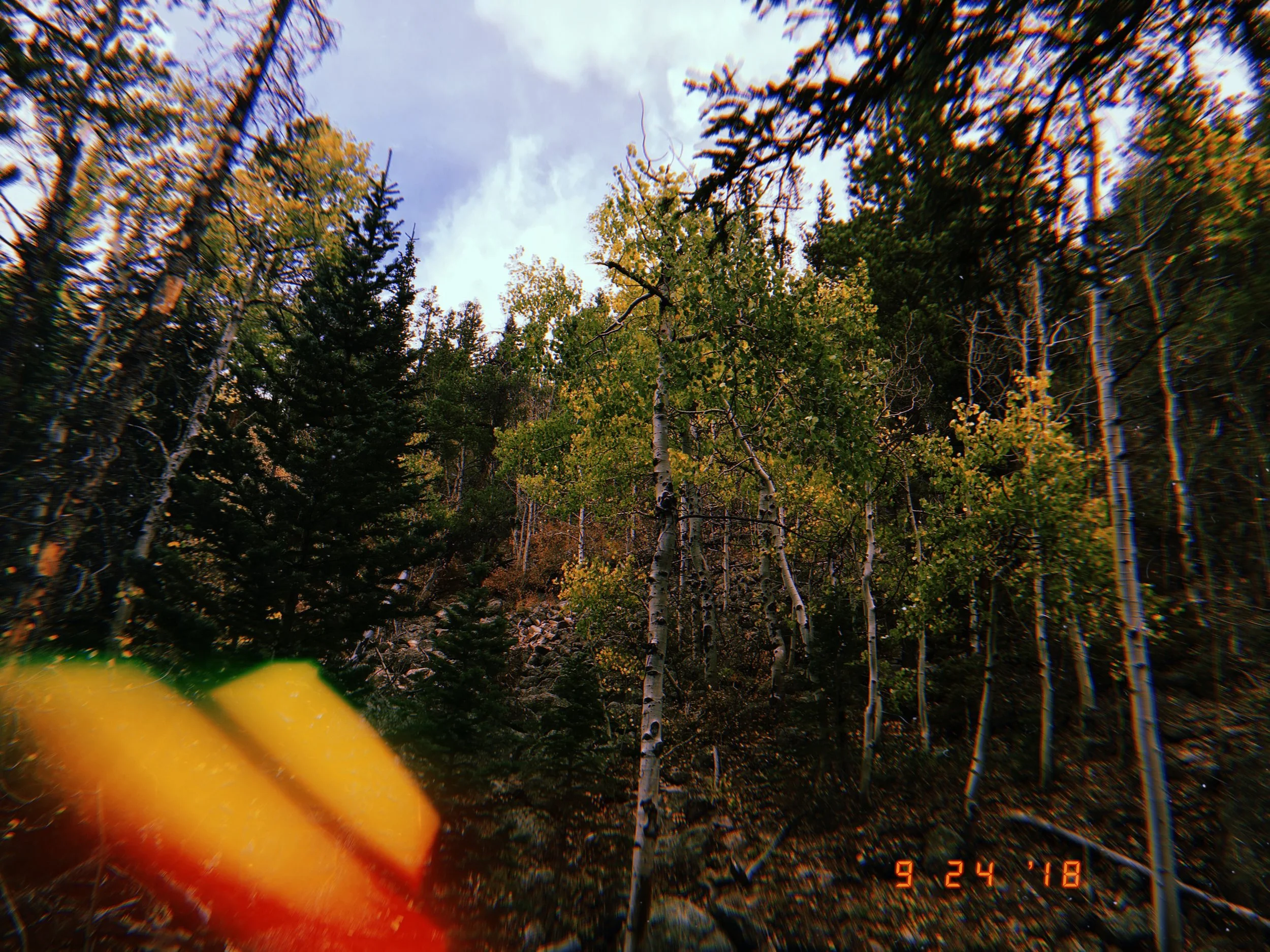 2019-02-23 20:32:36.033.jpeg