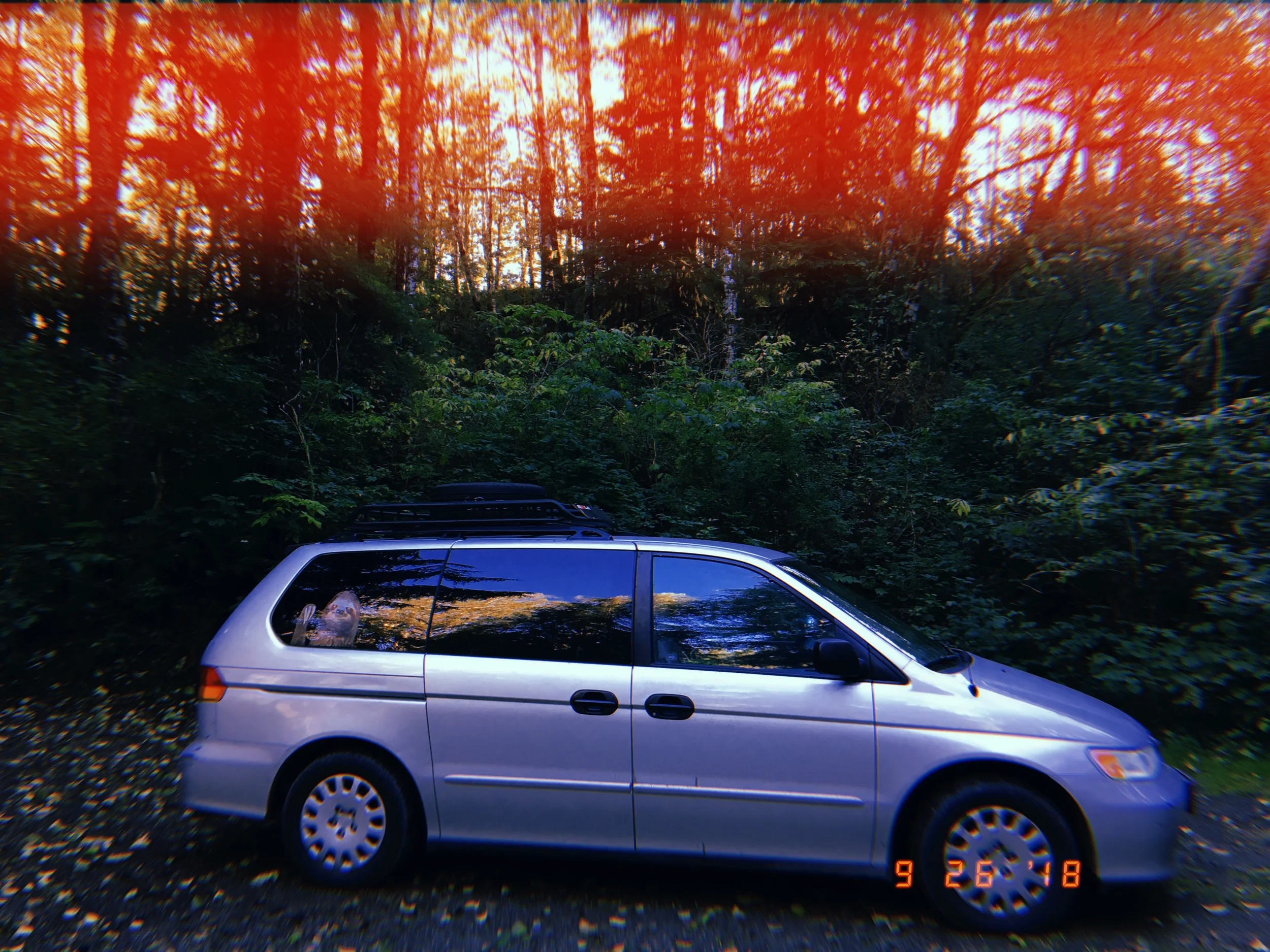 2019-05-24 09:33:17.216.jpeg