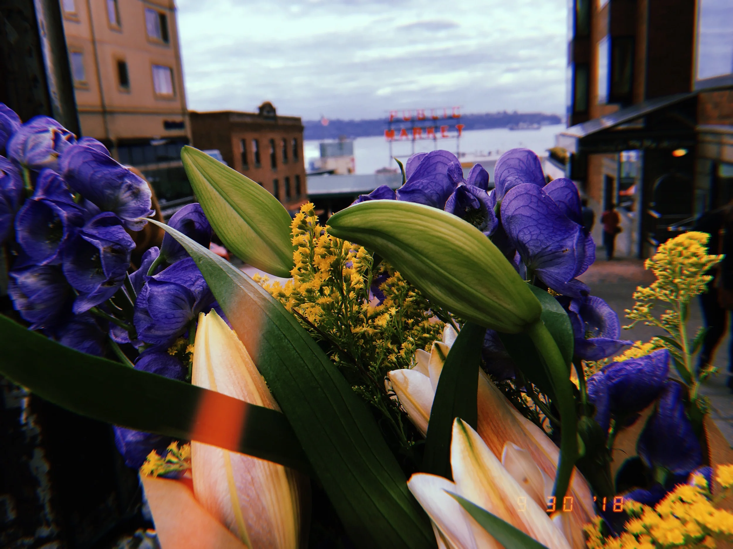 2019-05-24 09:48:39.235.jpeg