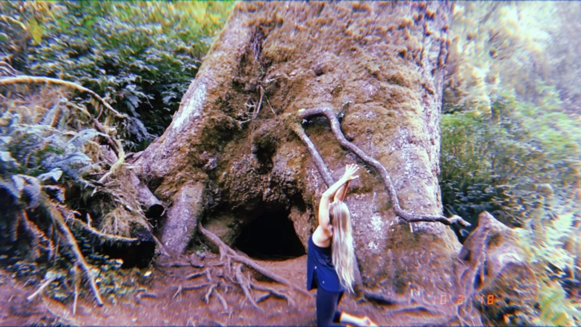 2018-10-02 20:10:35.851.jpeg