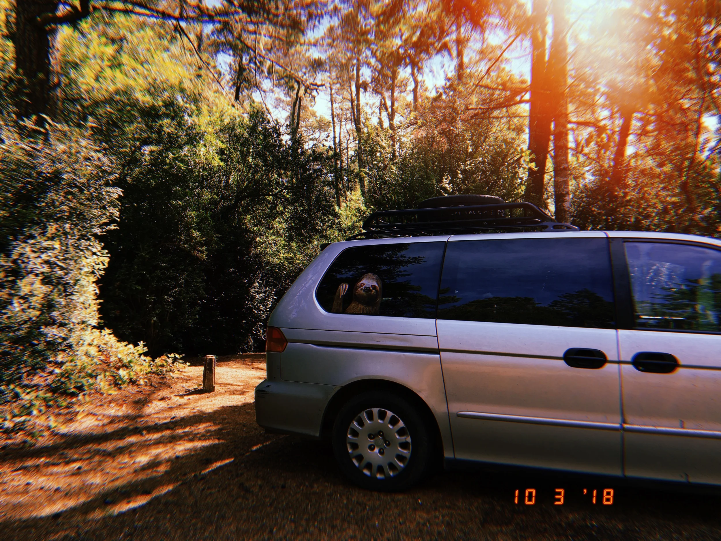 2019-05-24 10:01:28.613.jpeg