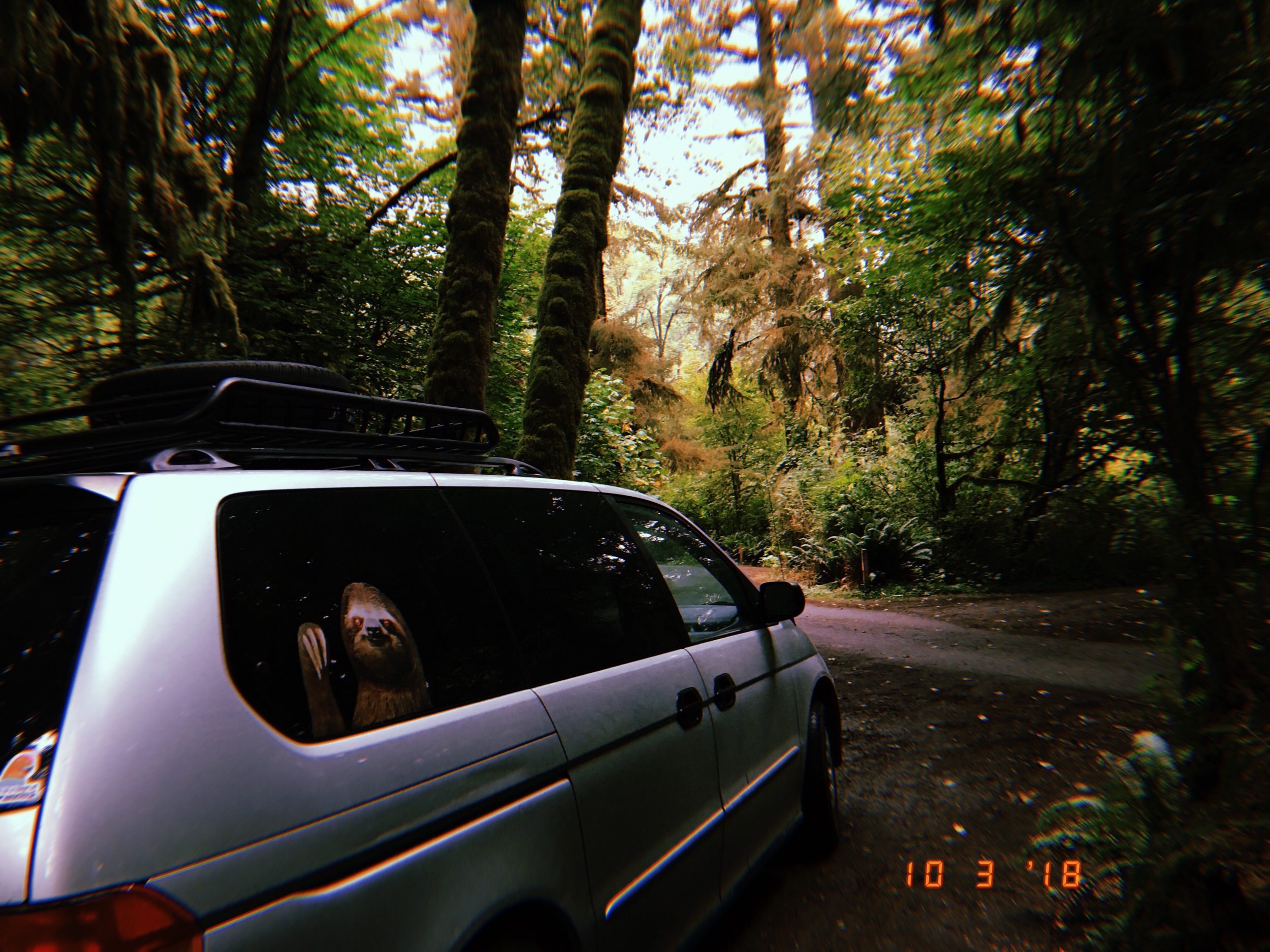 2019-05-24 10:36:18.004.jpeg