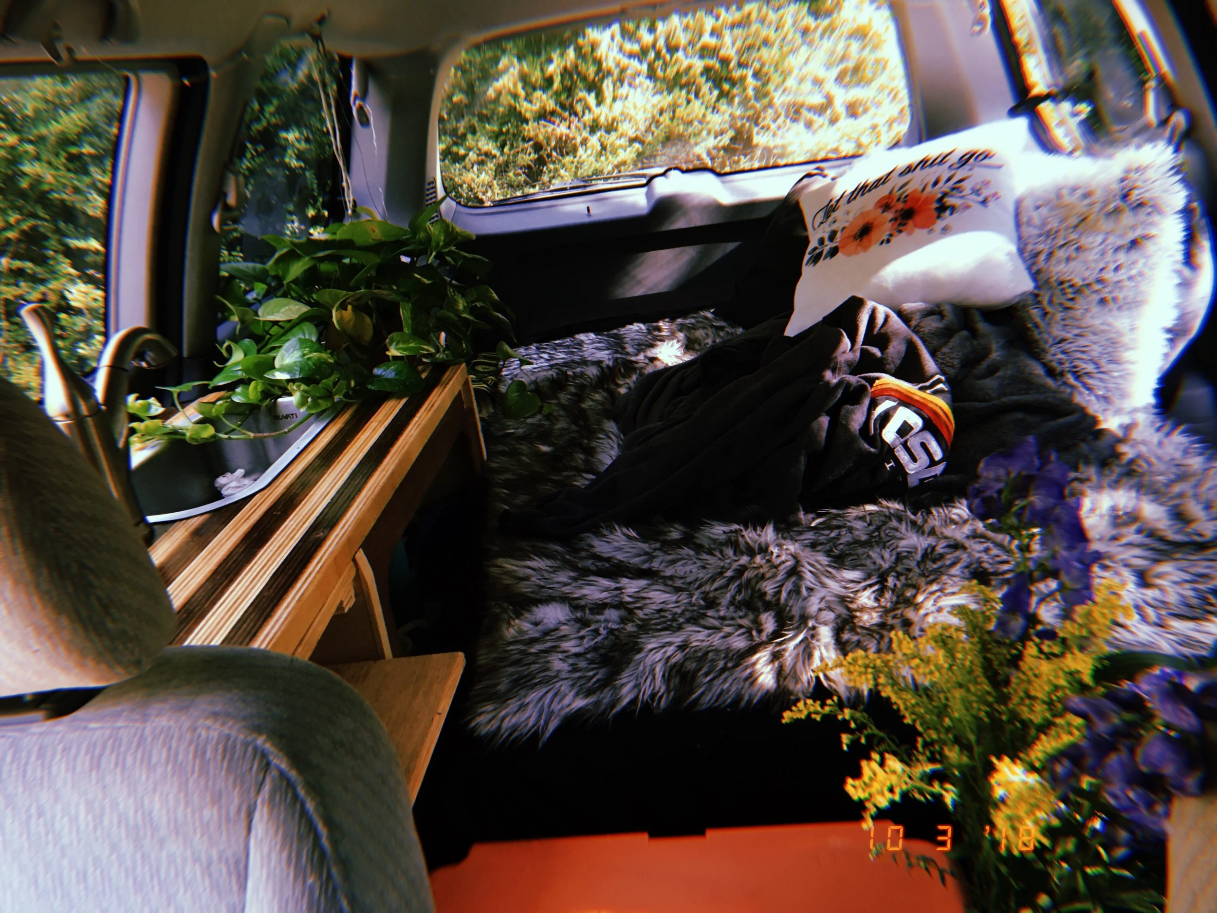 2019-05-24 10:36:16.877.jpeg