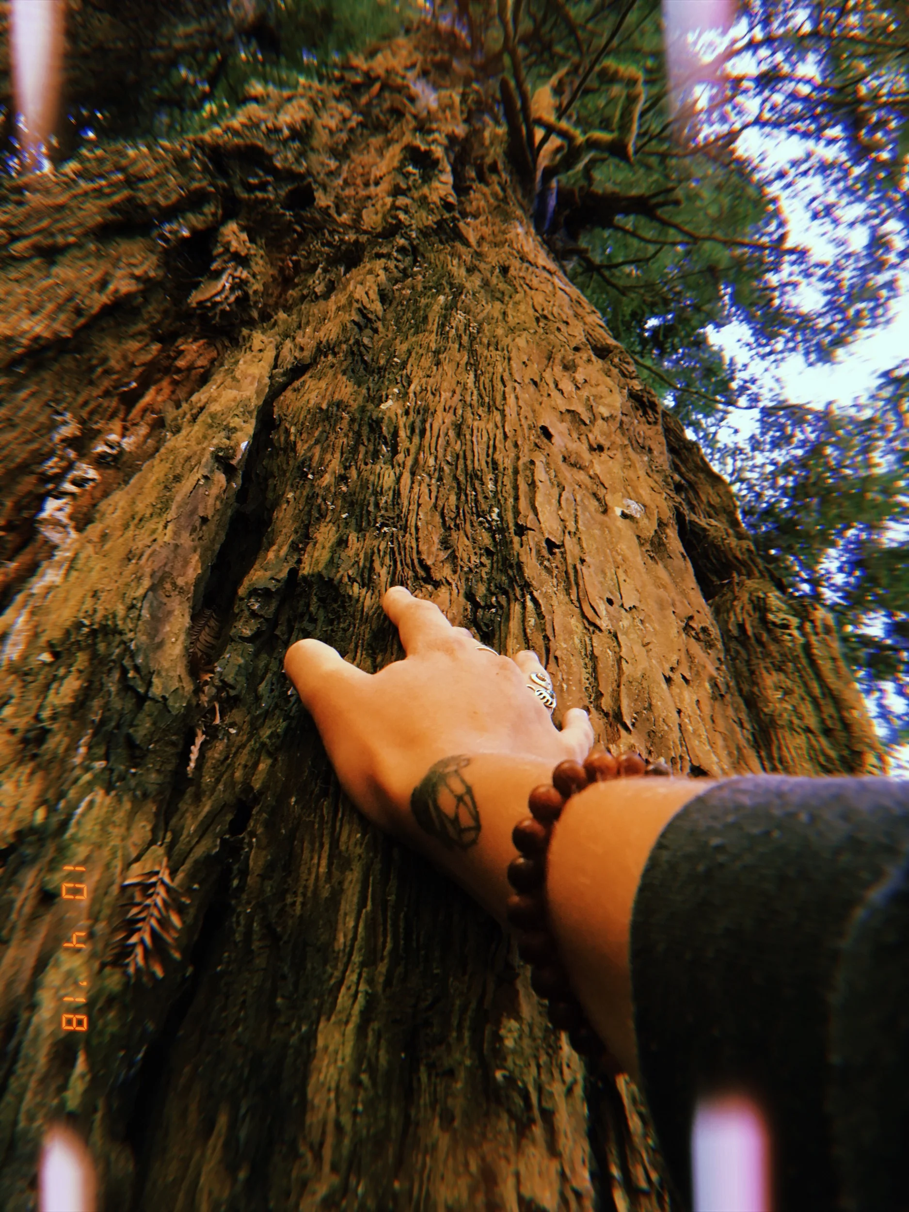 2019-05-24 10:33:39.812.jpeg