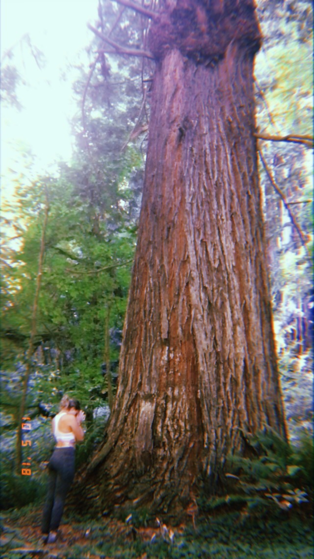 2019-05-24 10:40:49.871.jpeg