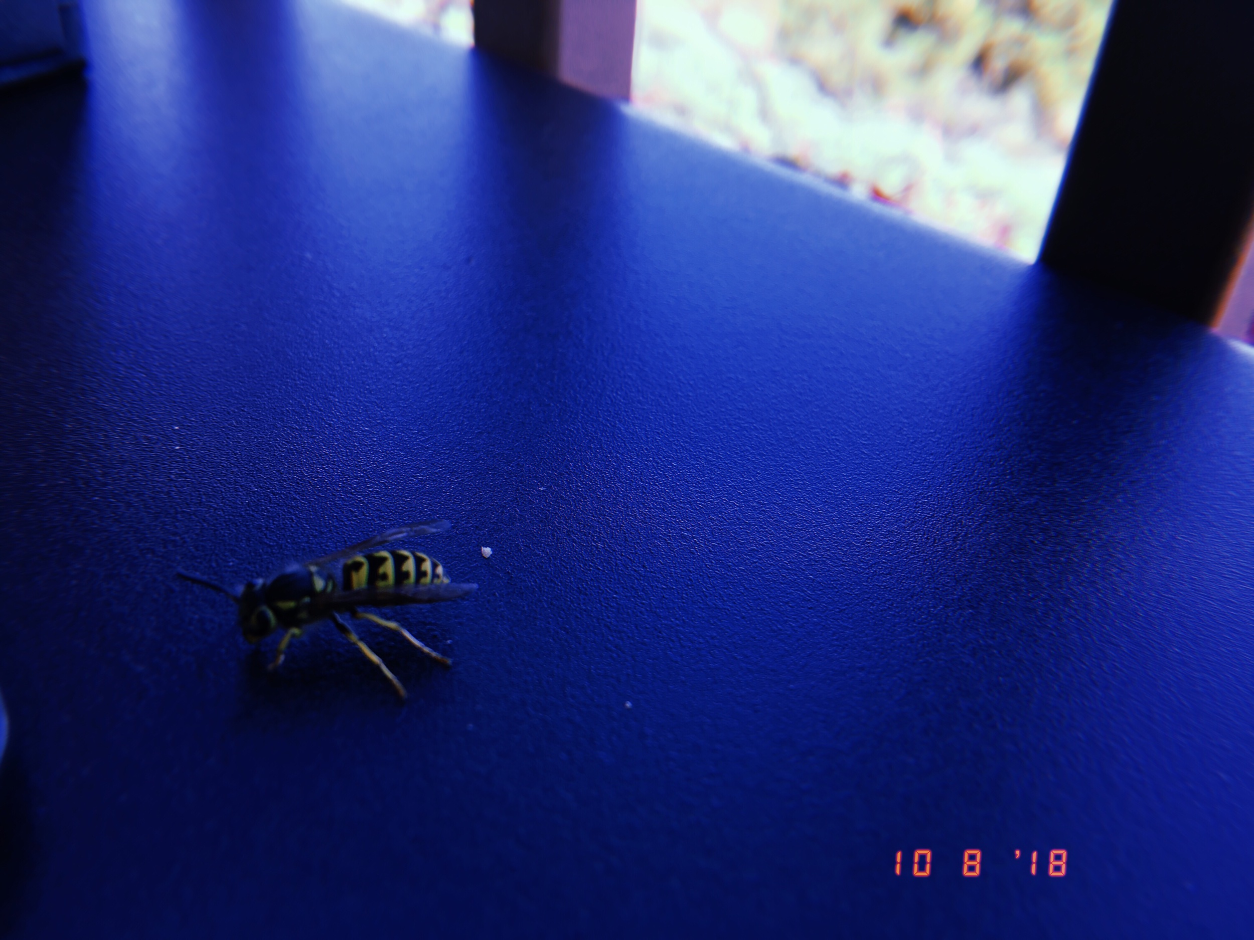 2019-05-24 10:52:31.303.jpeg