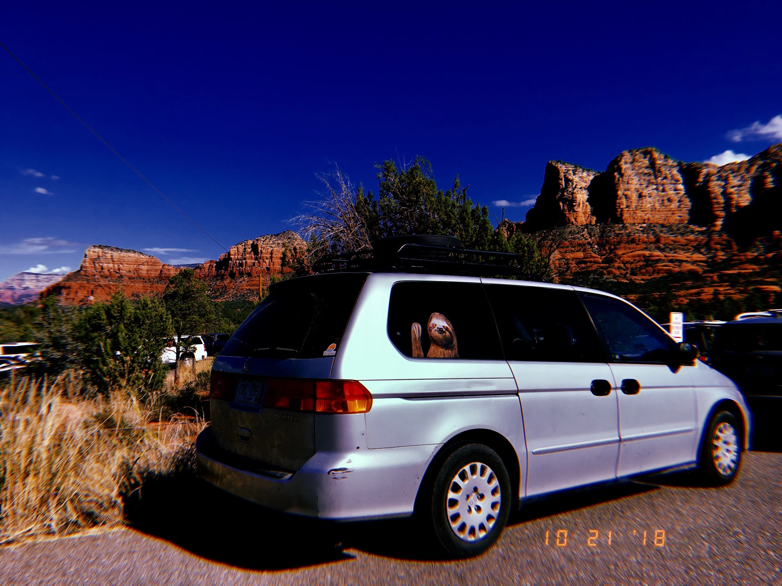 2019-05-29 17:00:14.787.jpeg