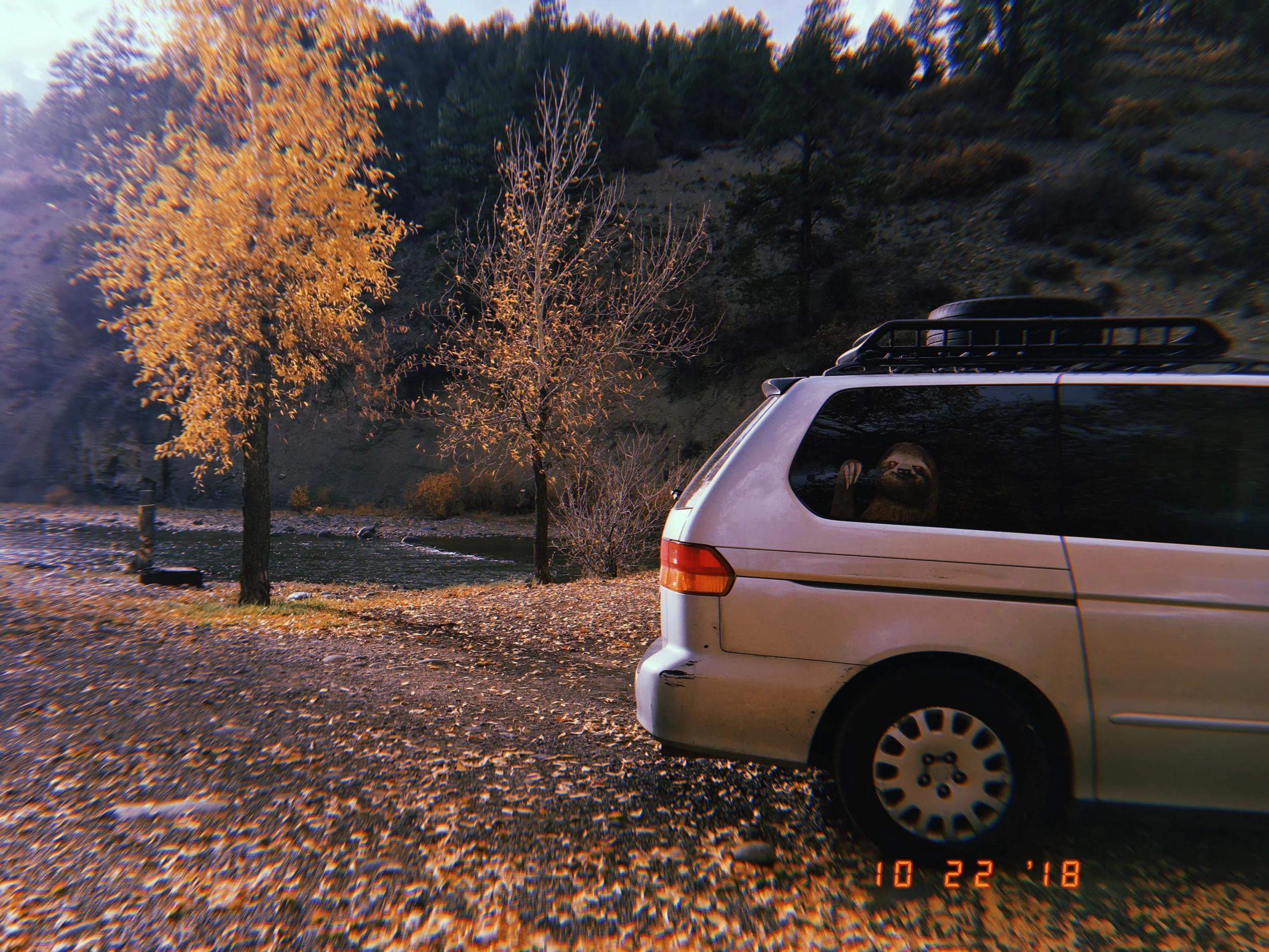 2019-05-29 17:13:38.452.jpeg