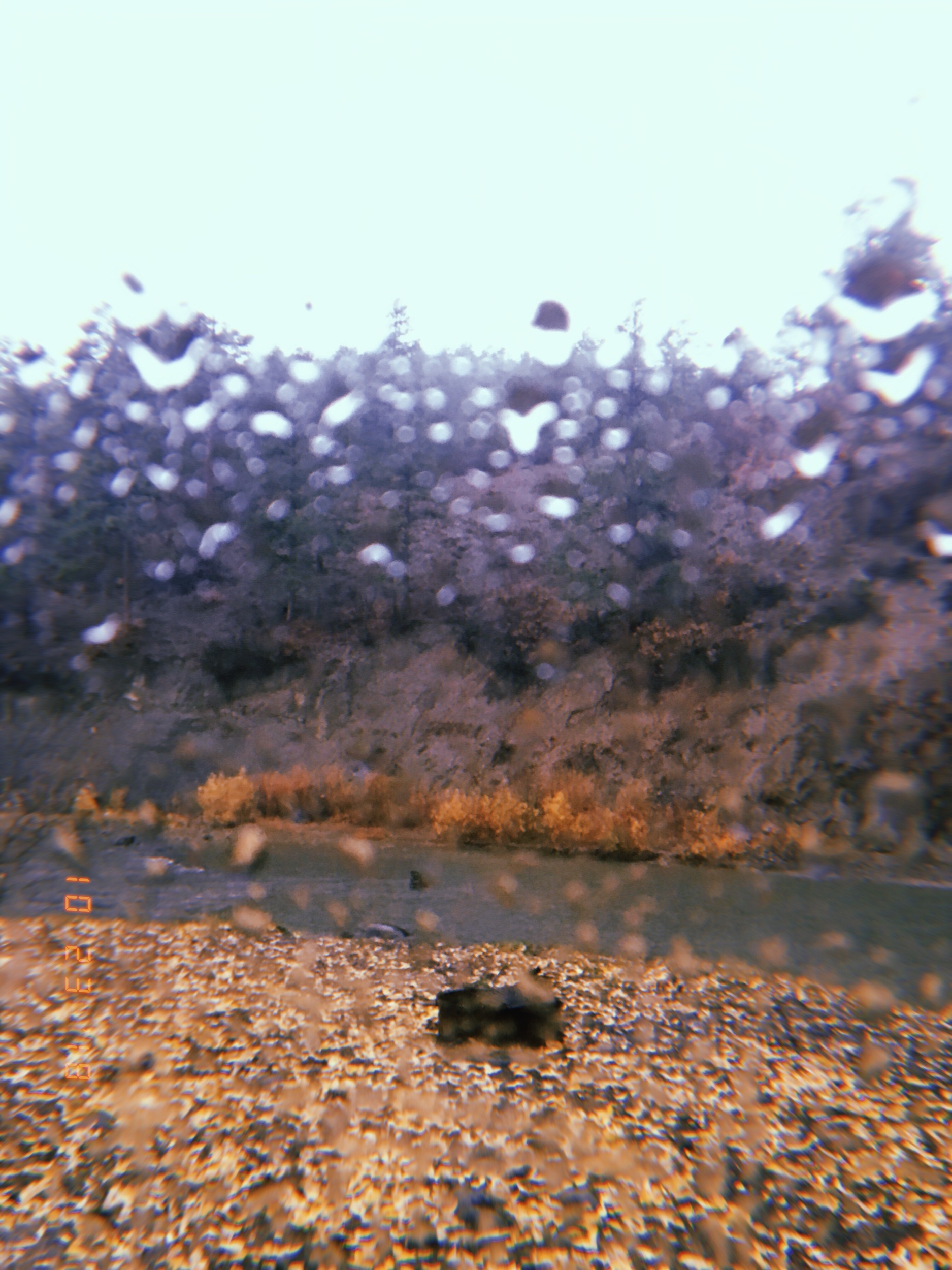 2019-05-29 17:13:42.628.jpeg