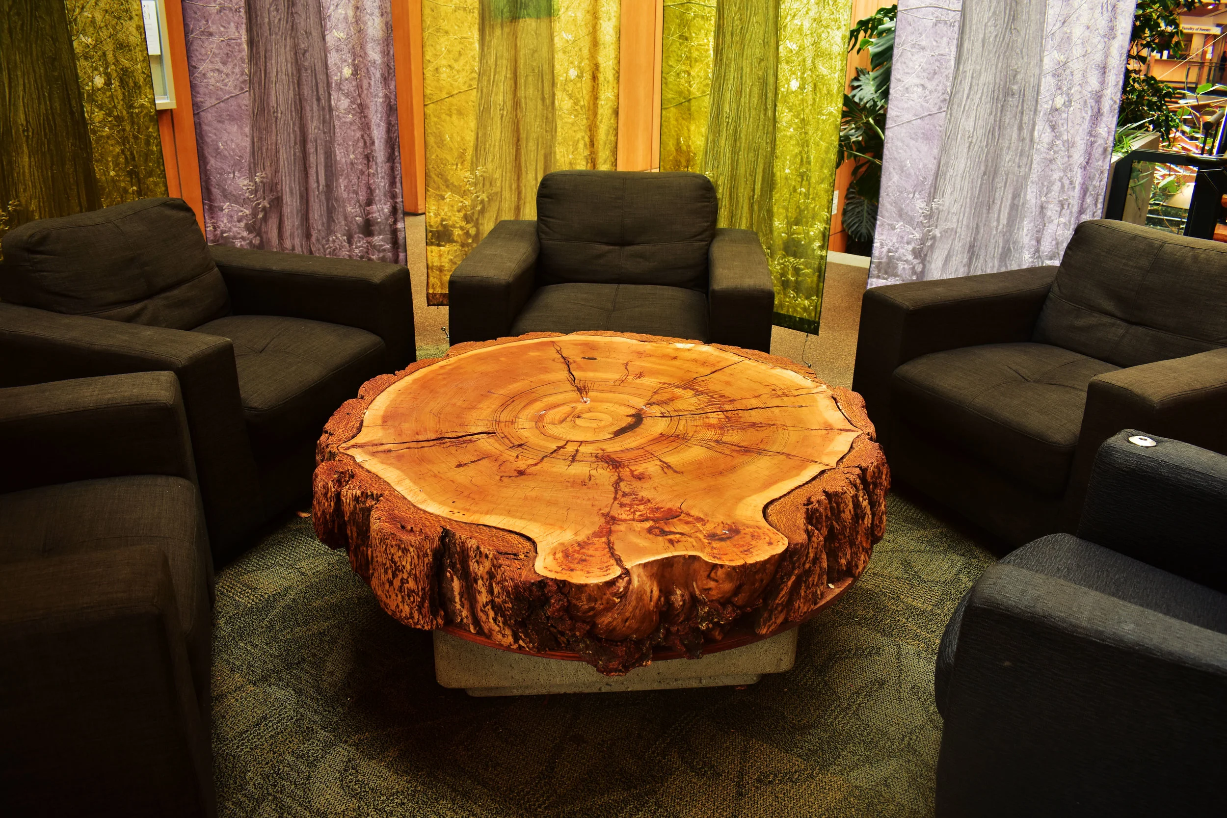treehouse.jpg