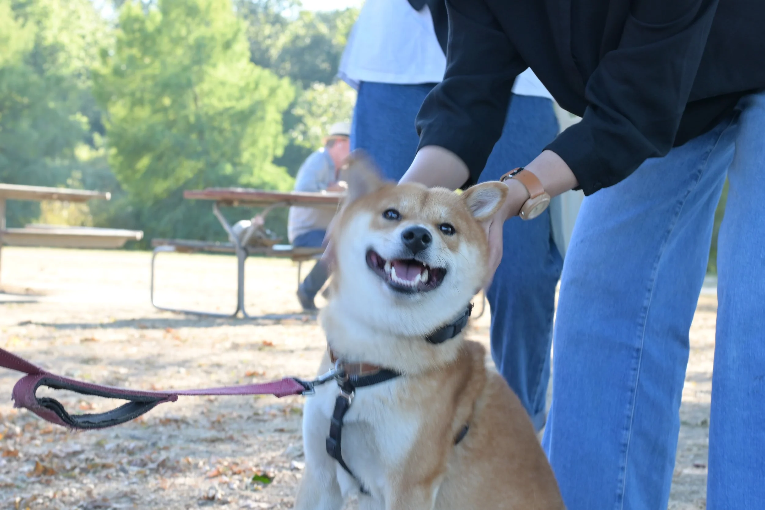 DSC_1637.JPG