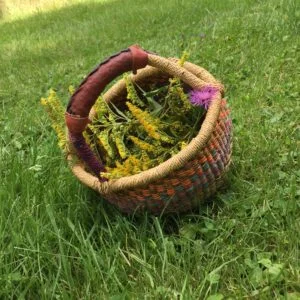 Basket of herbs Erica foraged at Friend Camp with the intention of creating oils, salves and tinctures for her family.