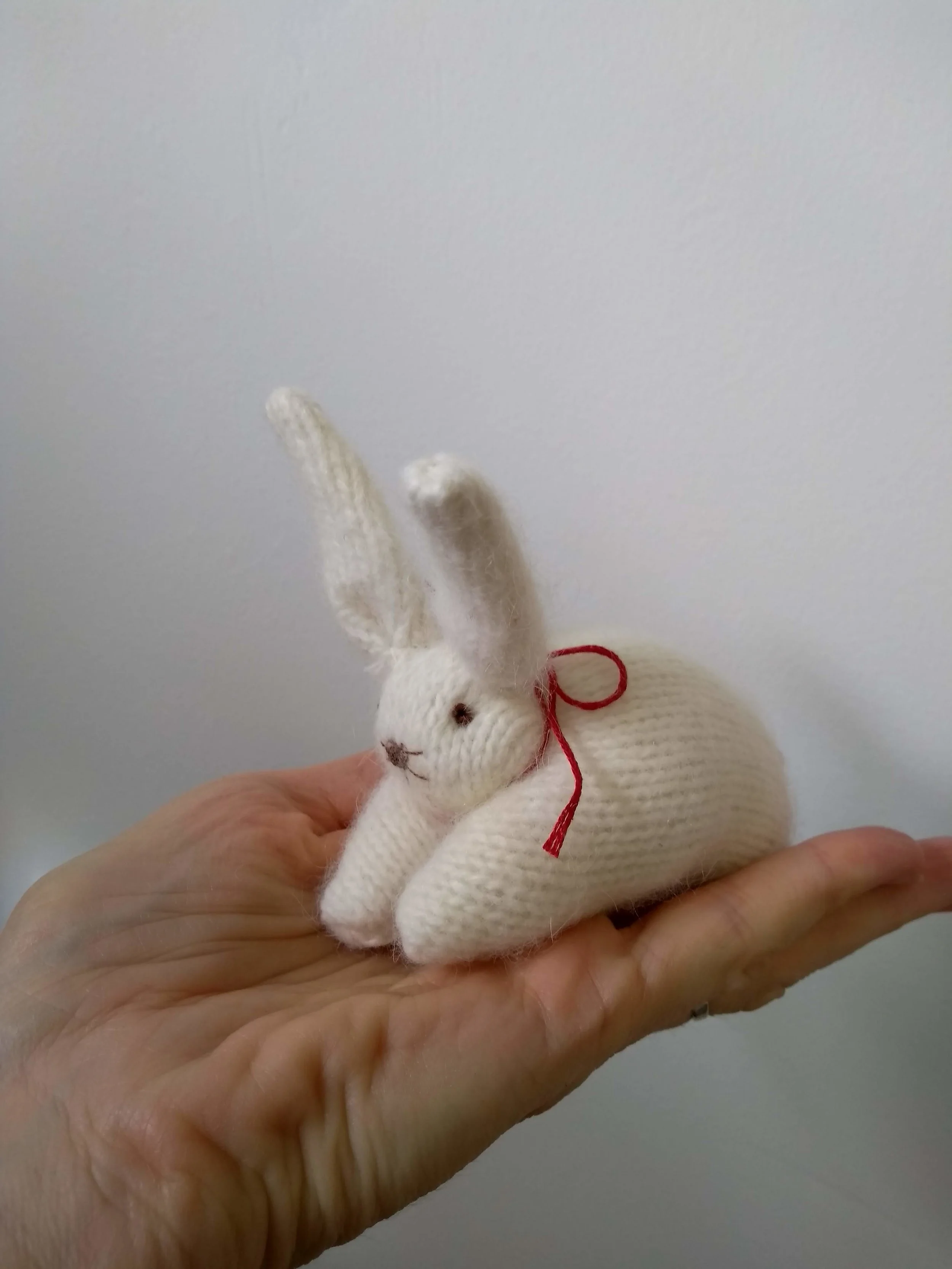 jumper bunny.jpg