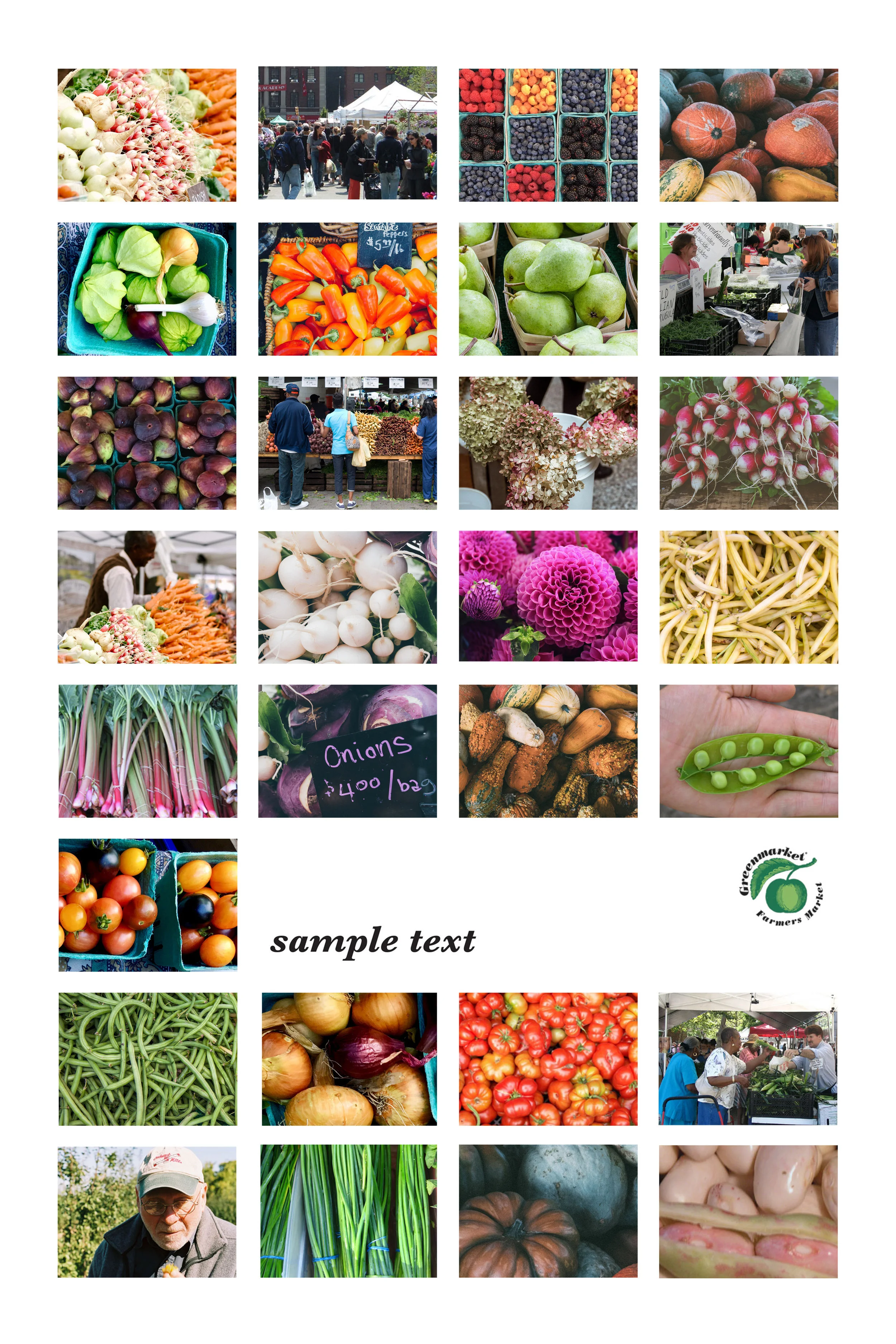 greenmarket redo2.jpg