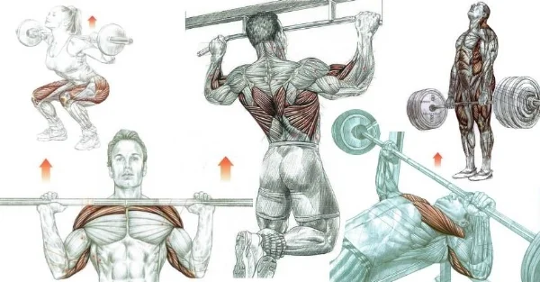 compound-exercises-1.jpg