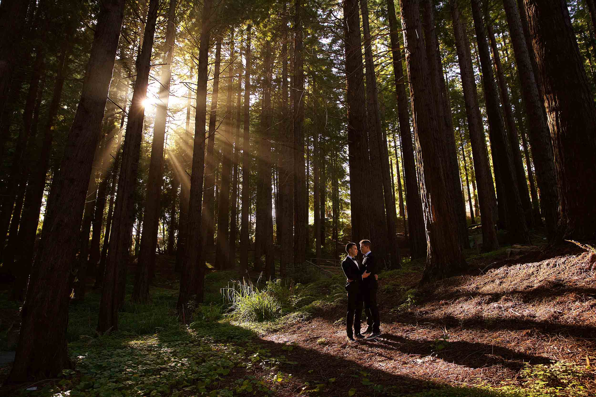 Jennydee Photography San Francisco wedding photography-130.jpg