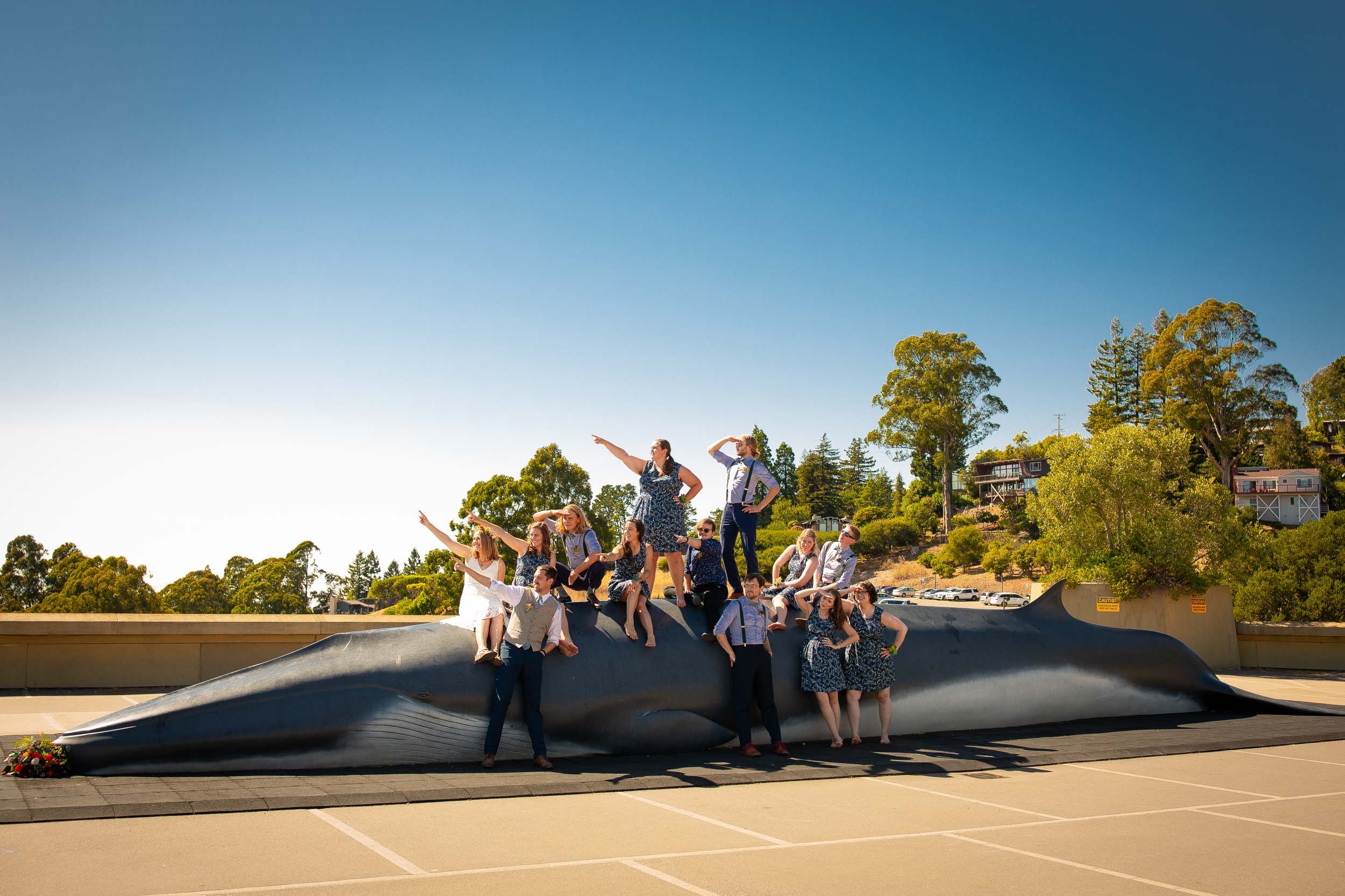 bridal party posing on the whale at Lawrence Berkeley Hall of Science