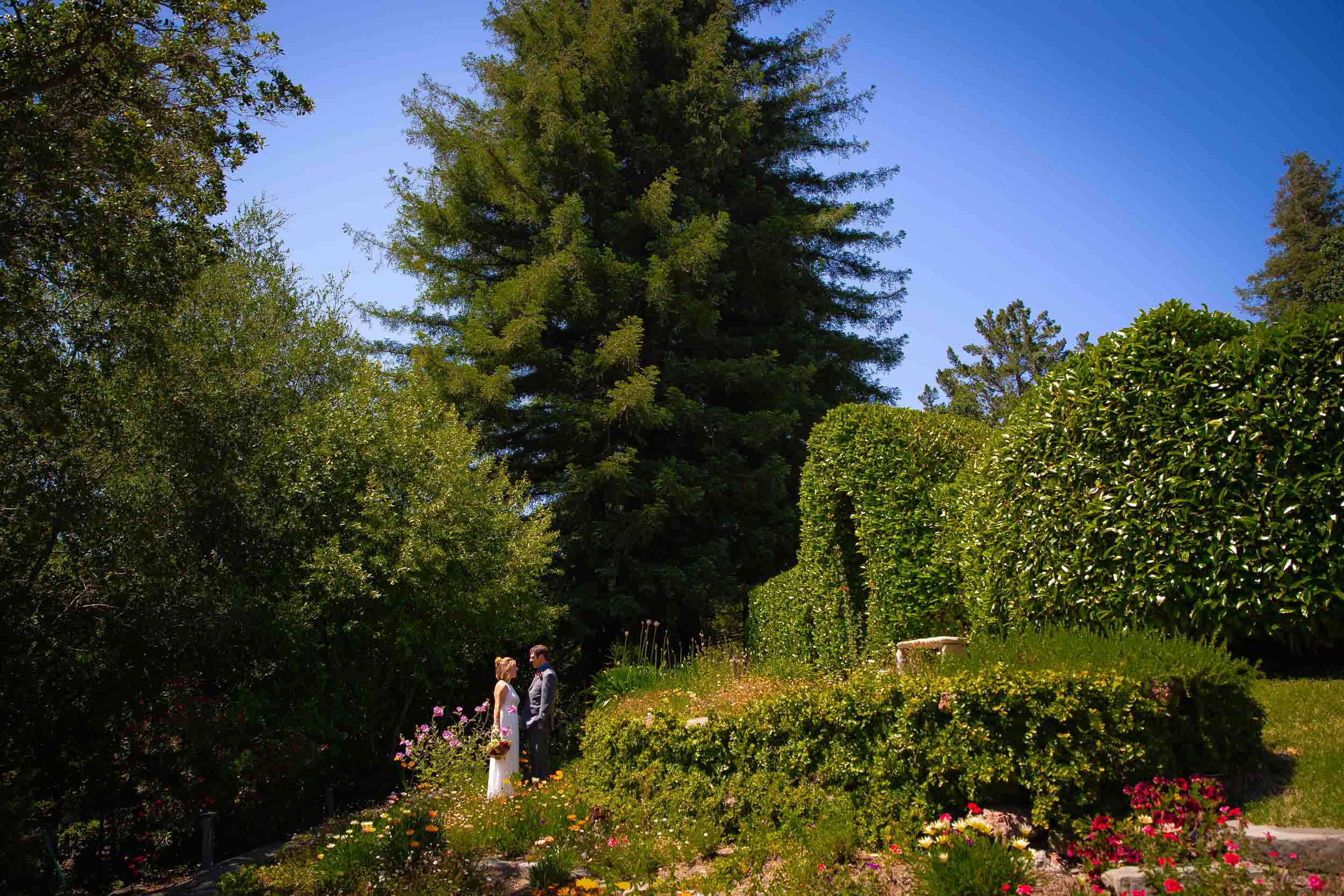 Intimate San Francisco Backyard Wedding-Alison and Joseph-7.jpg