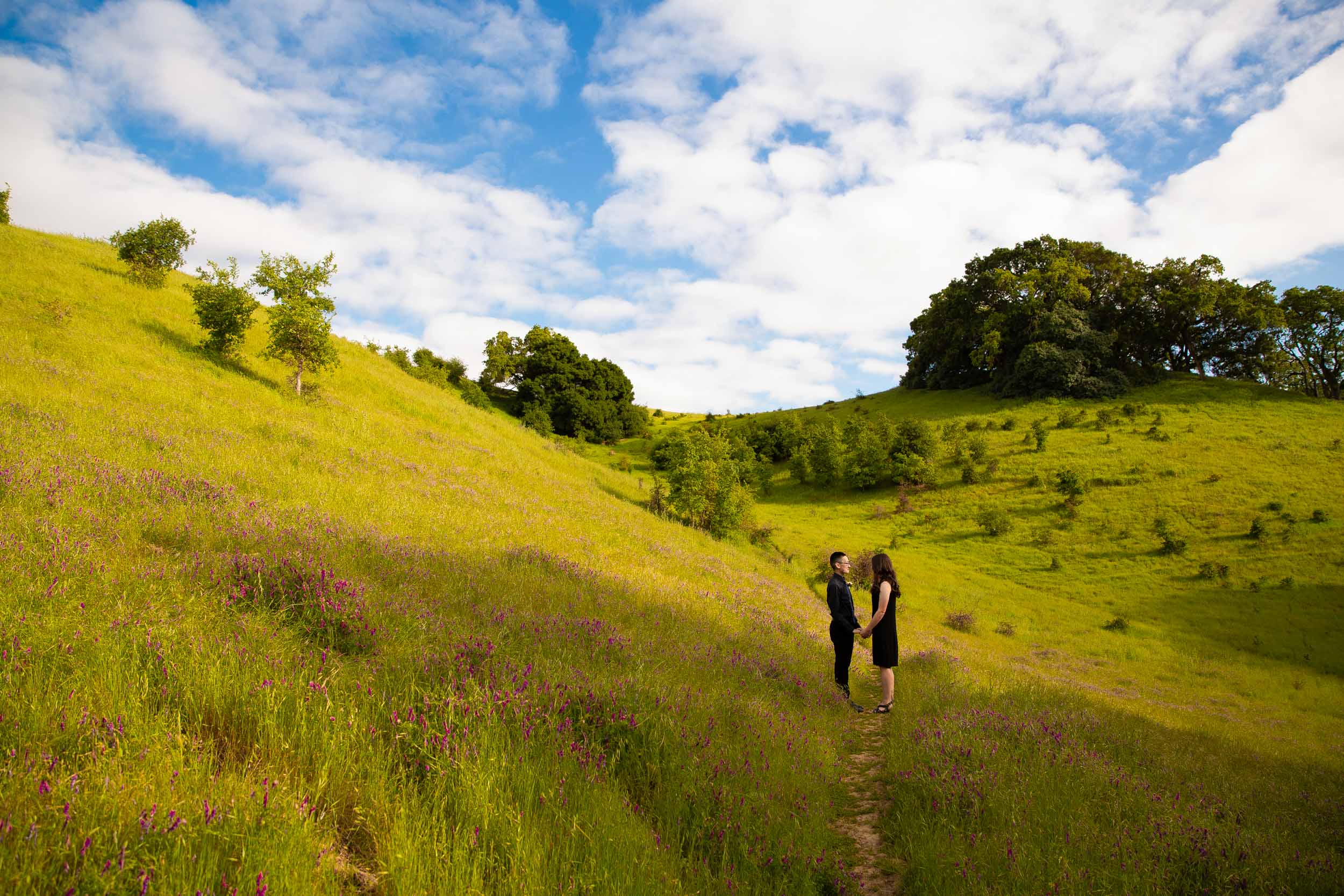 Briones-park-engagement-photos-2.jpg