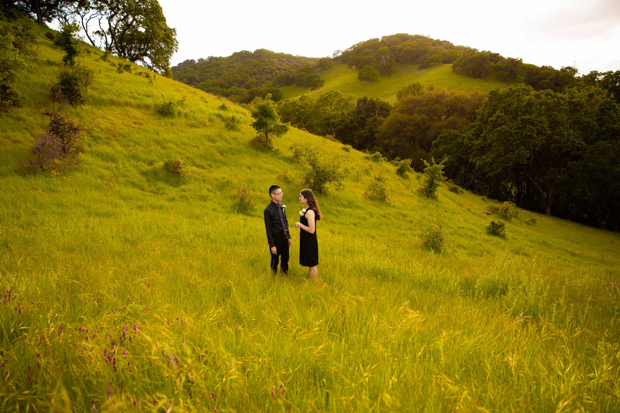 Briones-park-engagement-photos-6.jpg