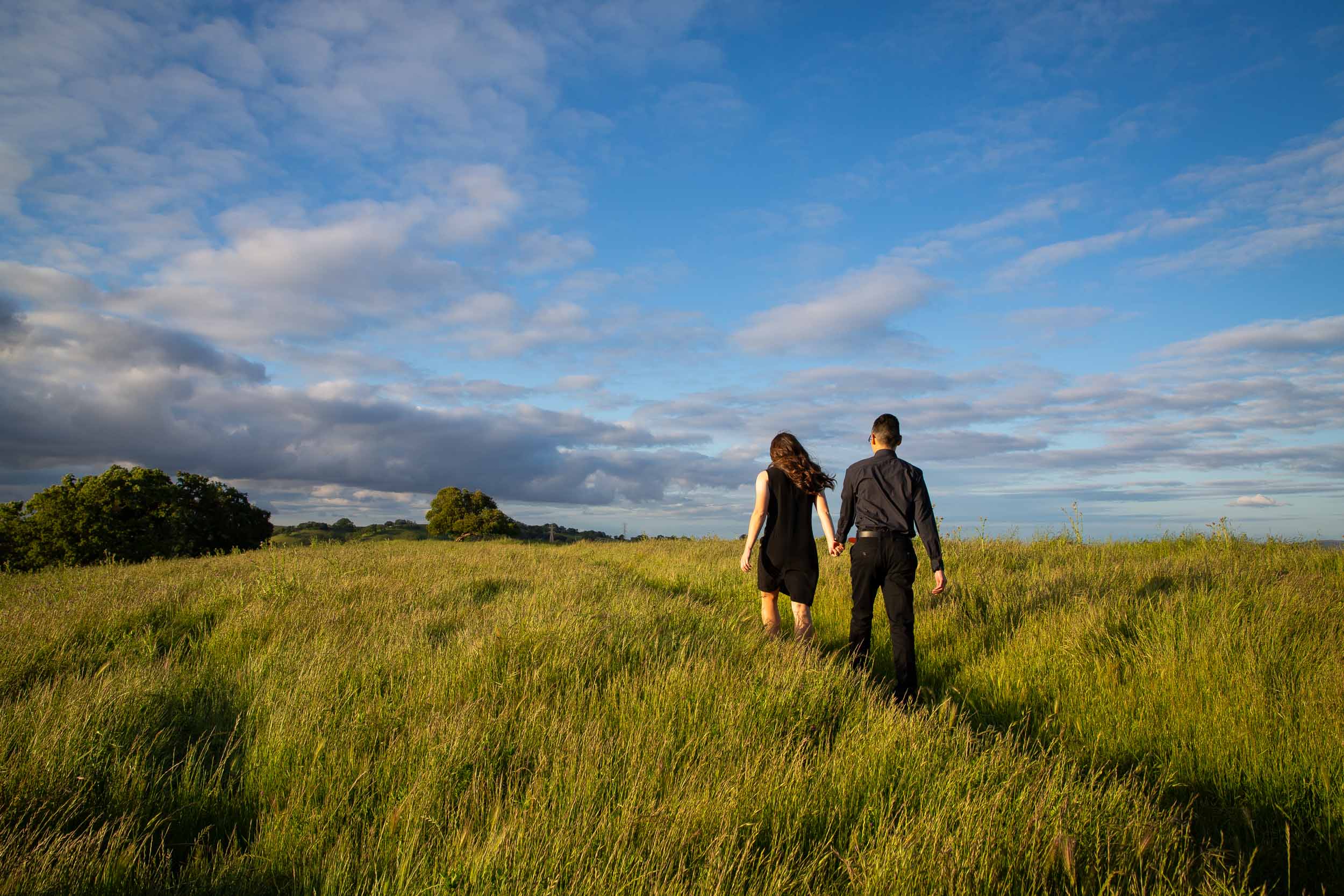 Briones-park-engagement-photos-19.jpg