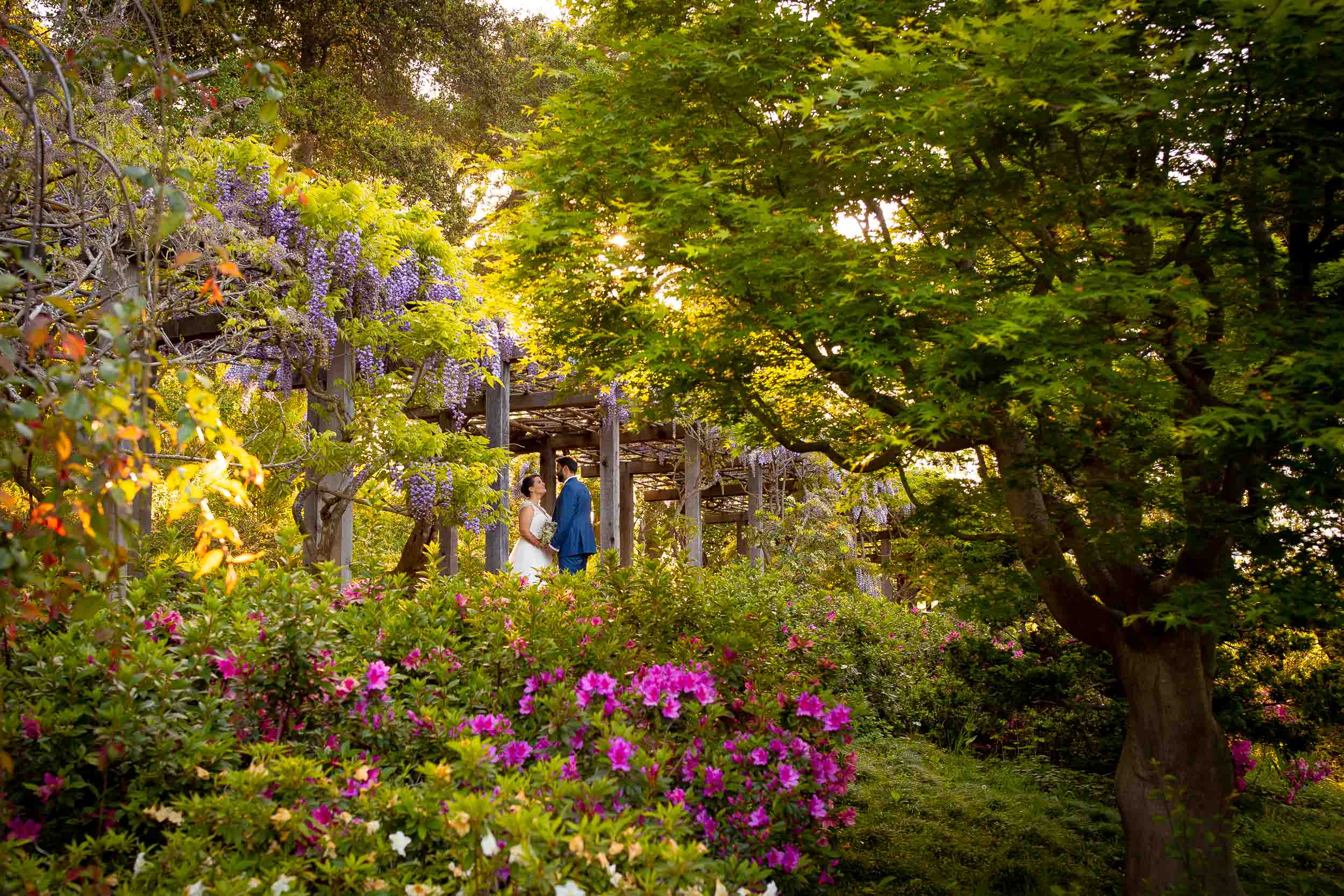 Hakone Estate And Gardens Wedding Mandy And Pawan 4 21 18