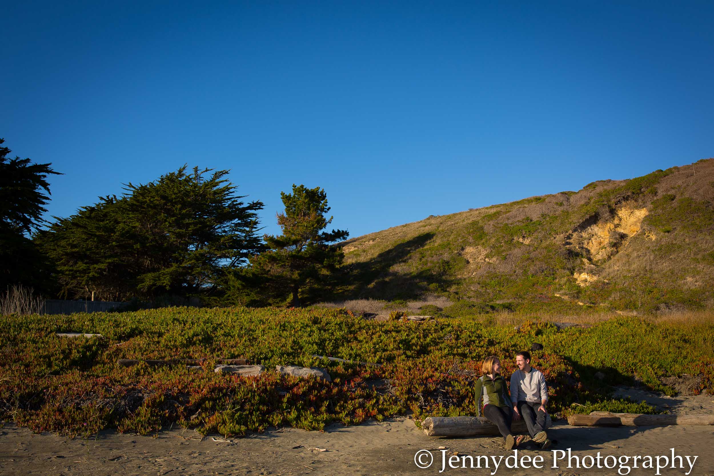 Point Reyes Engagement Photos-9.jpg