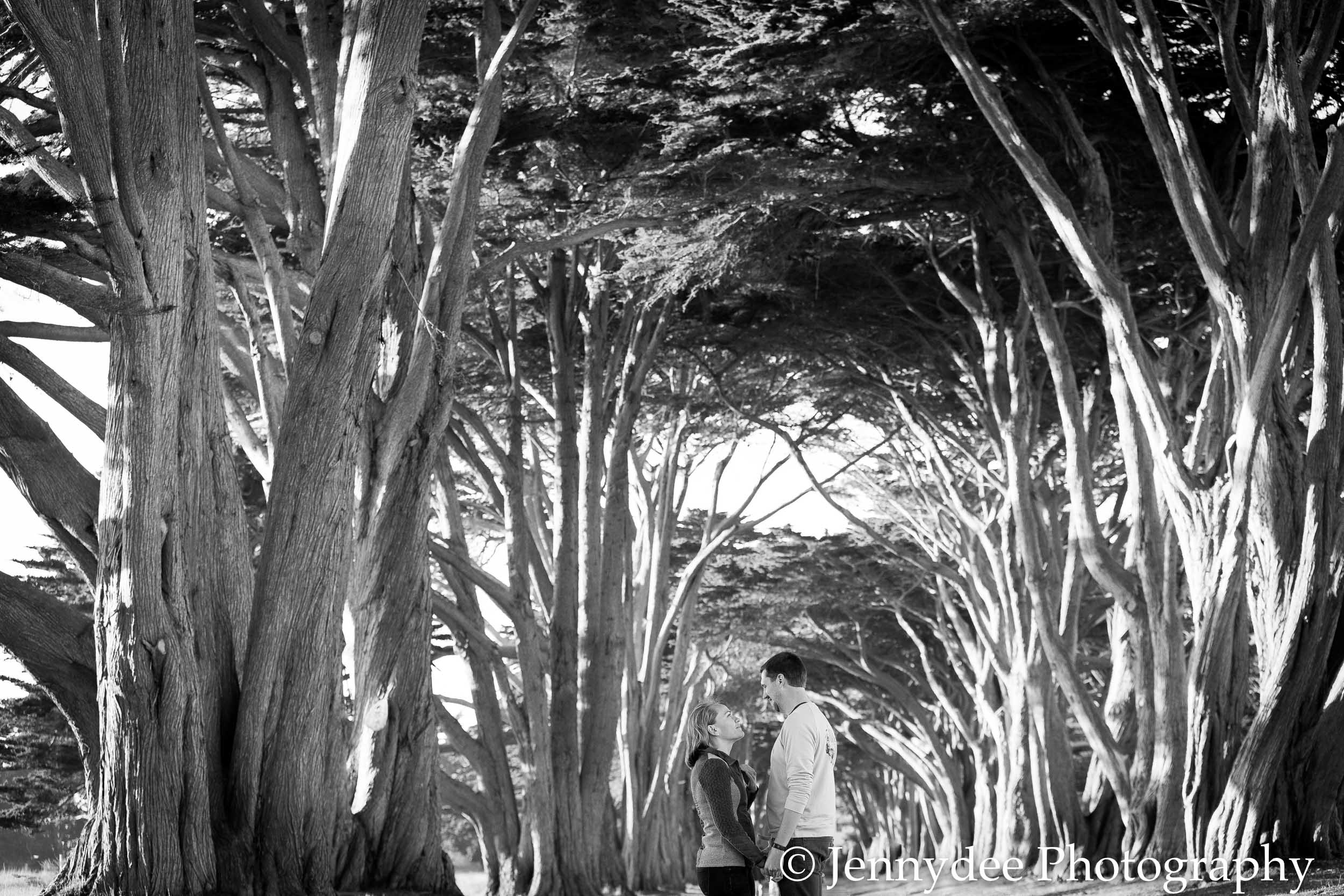 Point Reyes Engagement Photos-16.jpg