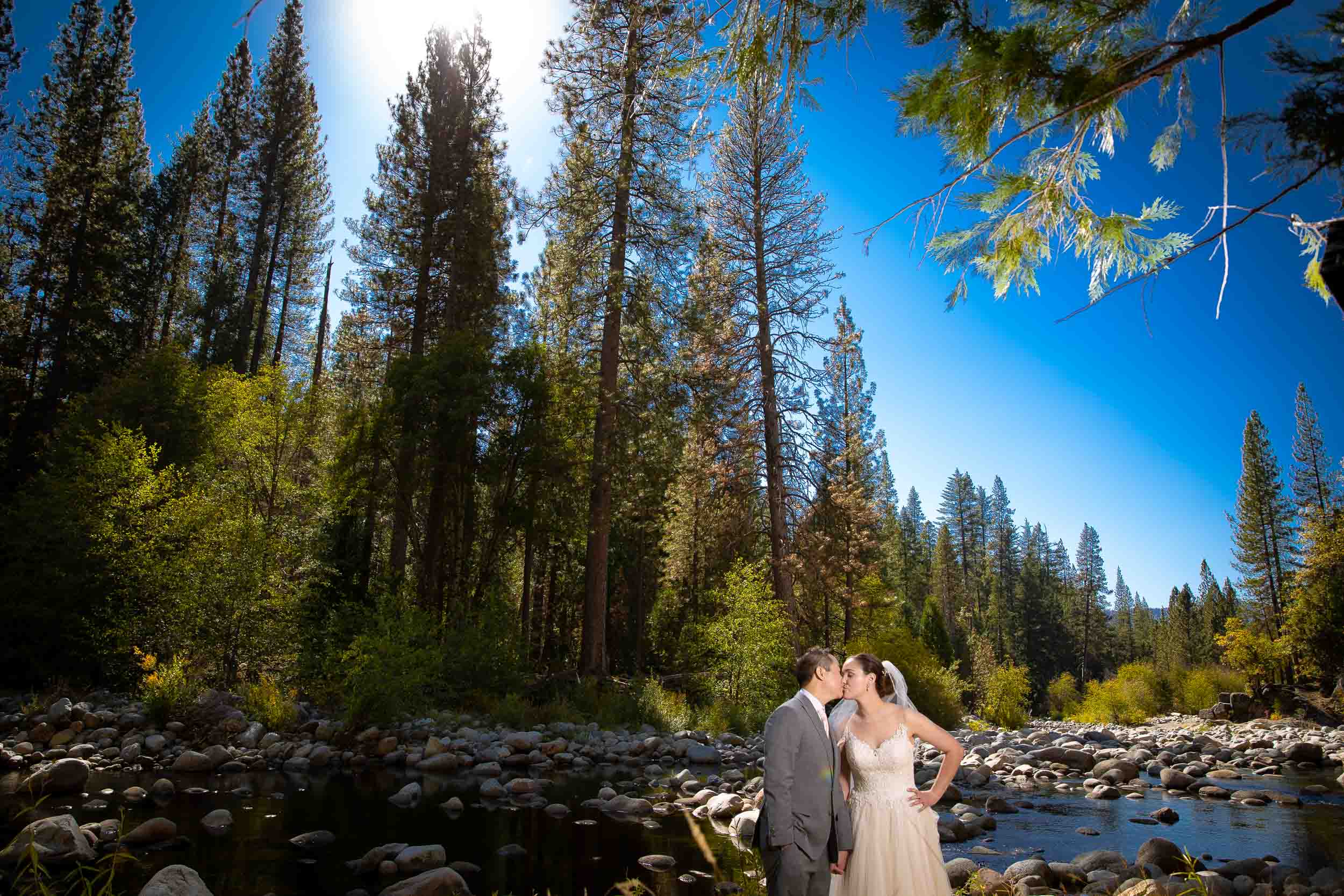 The redwoods in Yosemite wedding