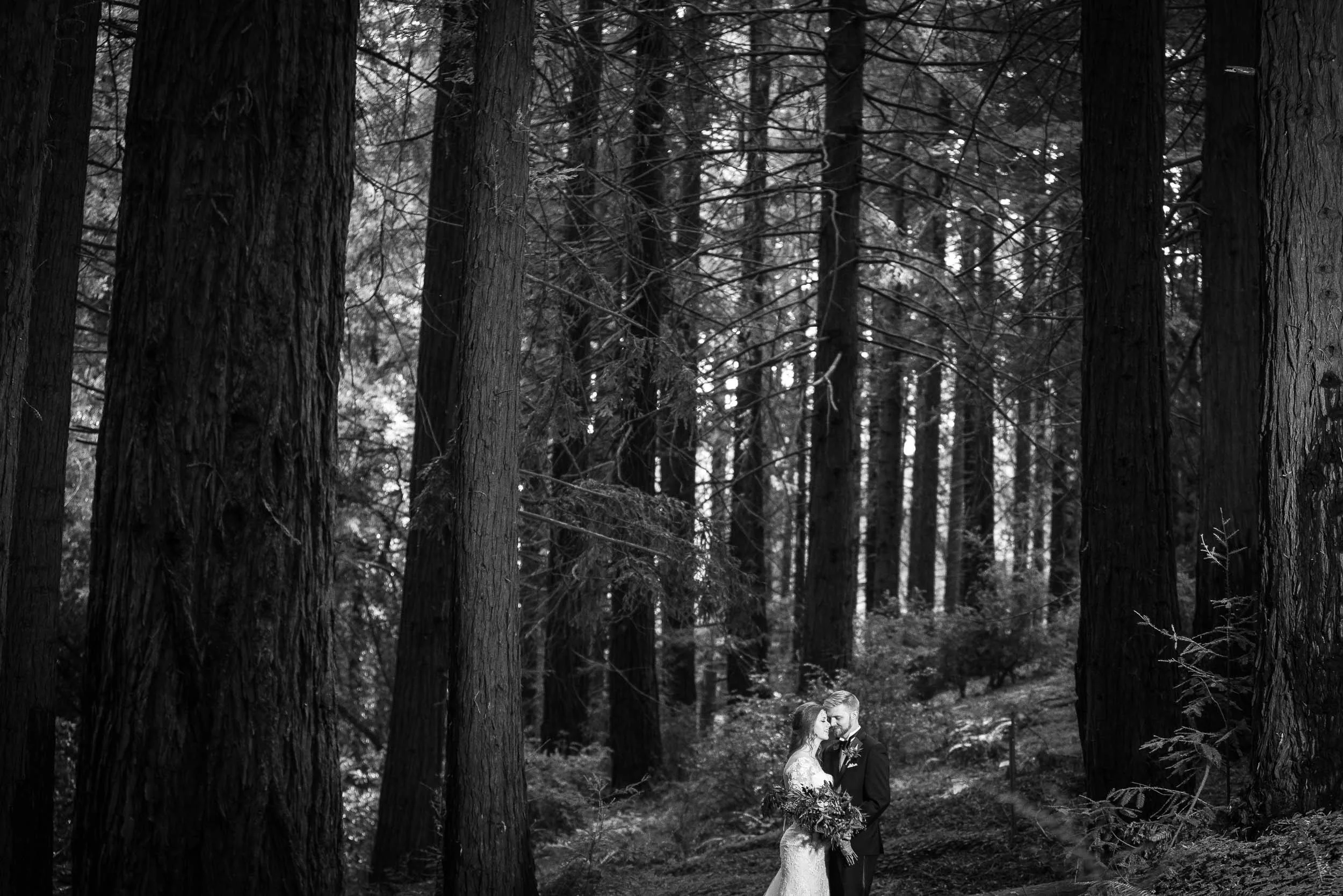 Berkeley Botanical Garden Wedding Ceremony in the Redwood Grove Ceremony and SF Bay Wedding Cruise Reception-50.jpg