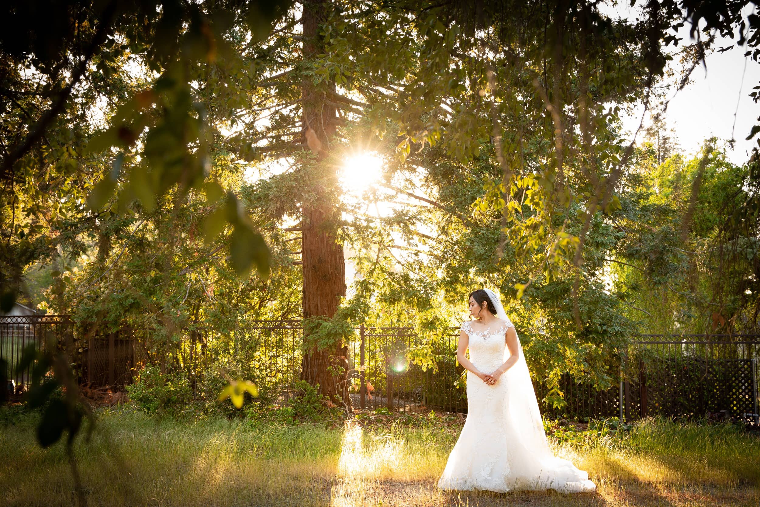Backyard Wedding Fremont-01.jpg