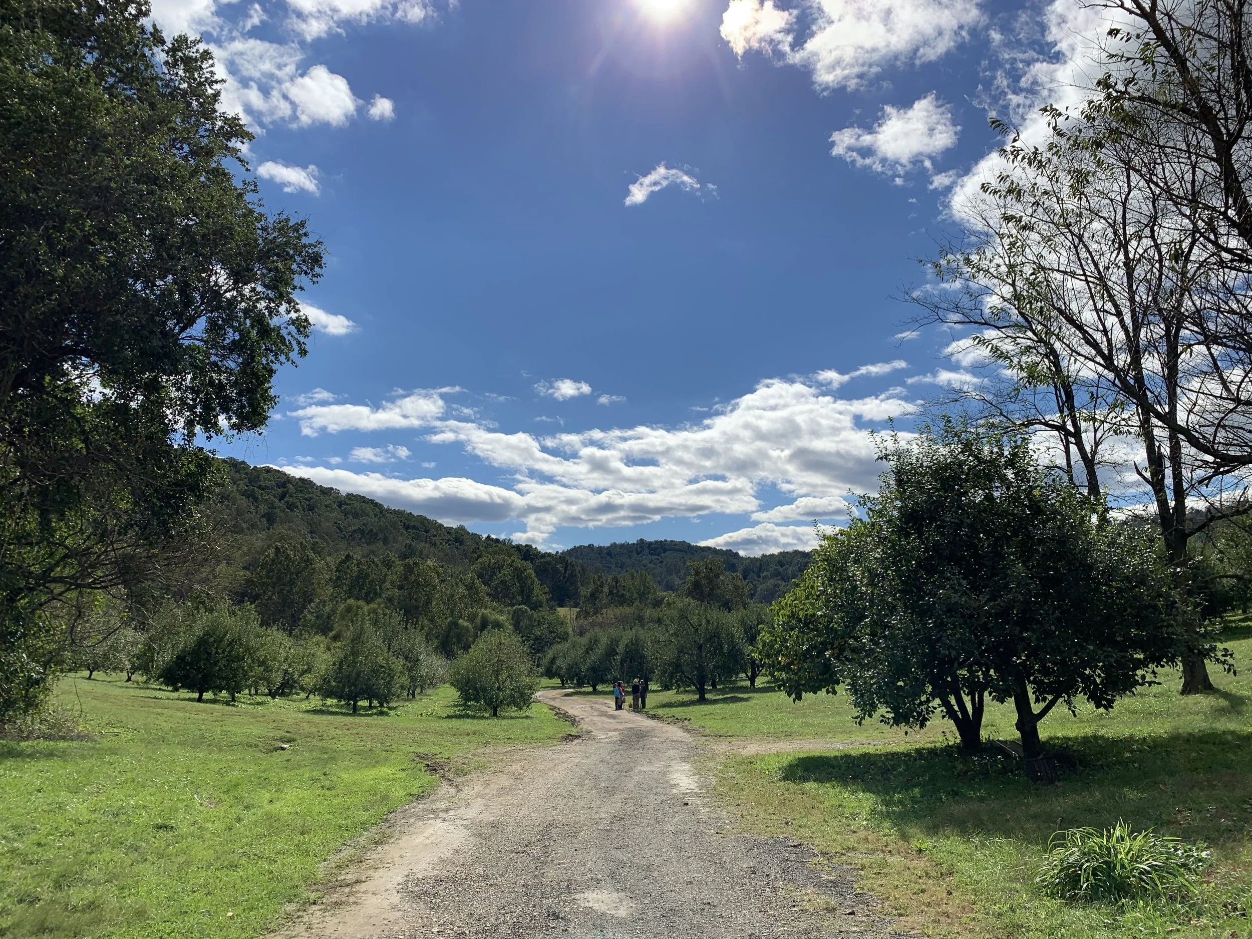 Rest &amp; Transitions