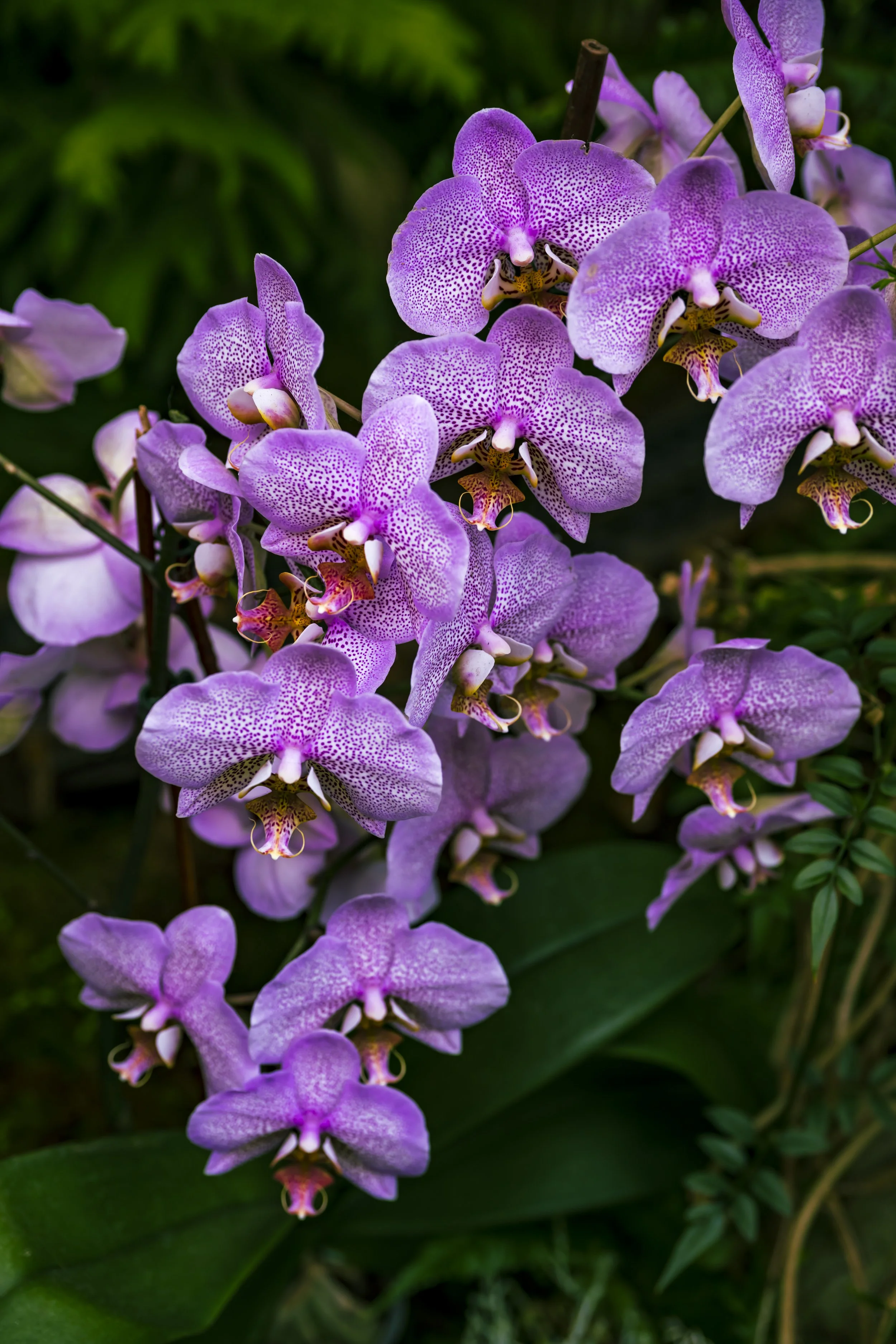 DSC_5928.jpg