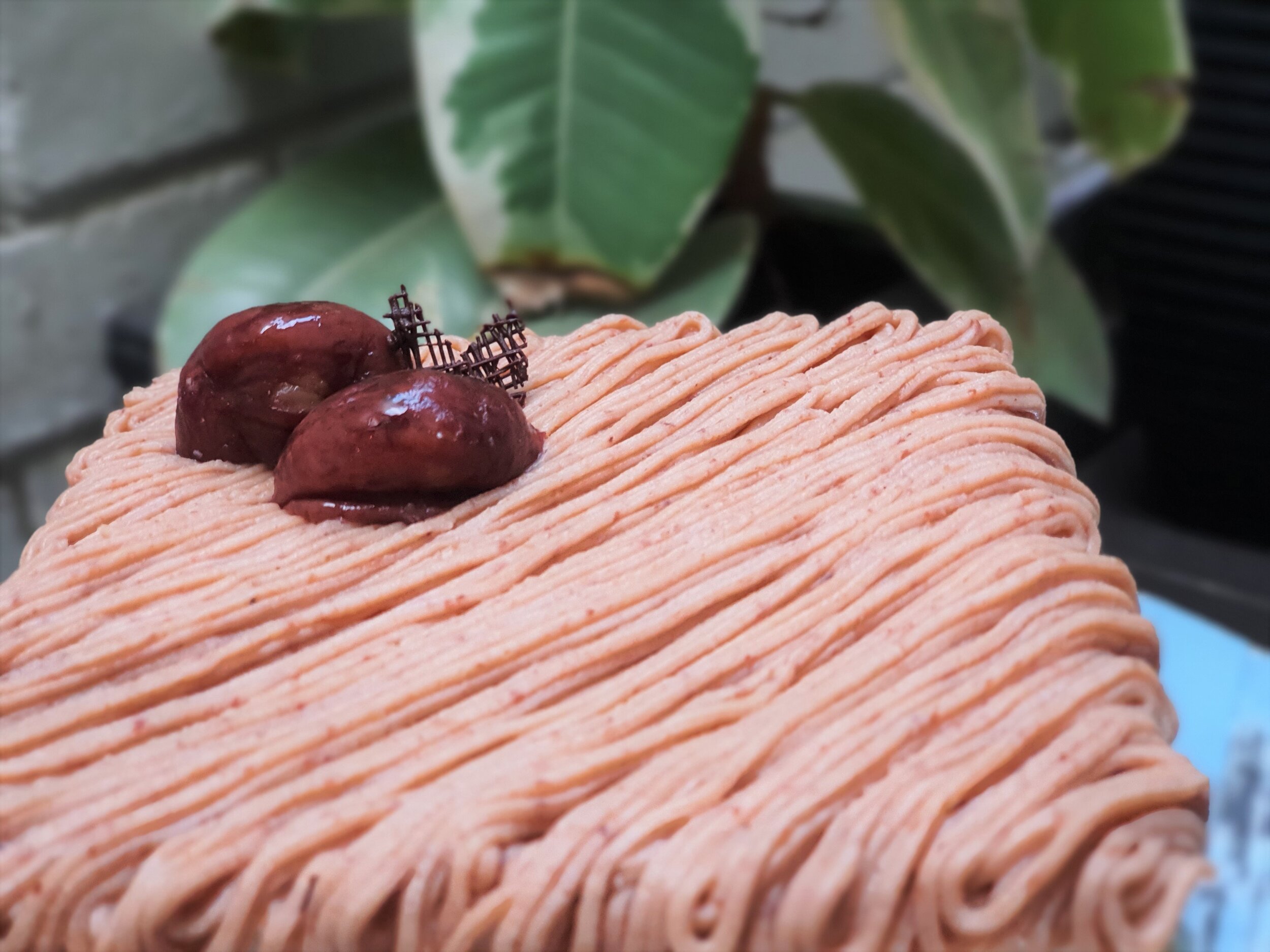 Chestnut Shortcake (Mont Blanc)