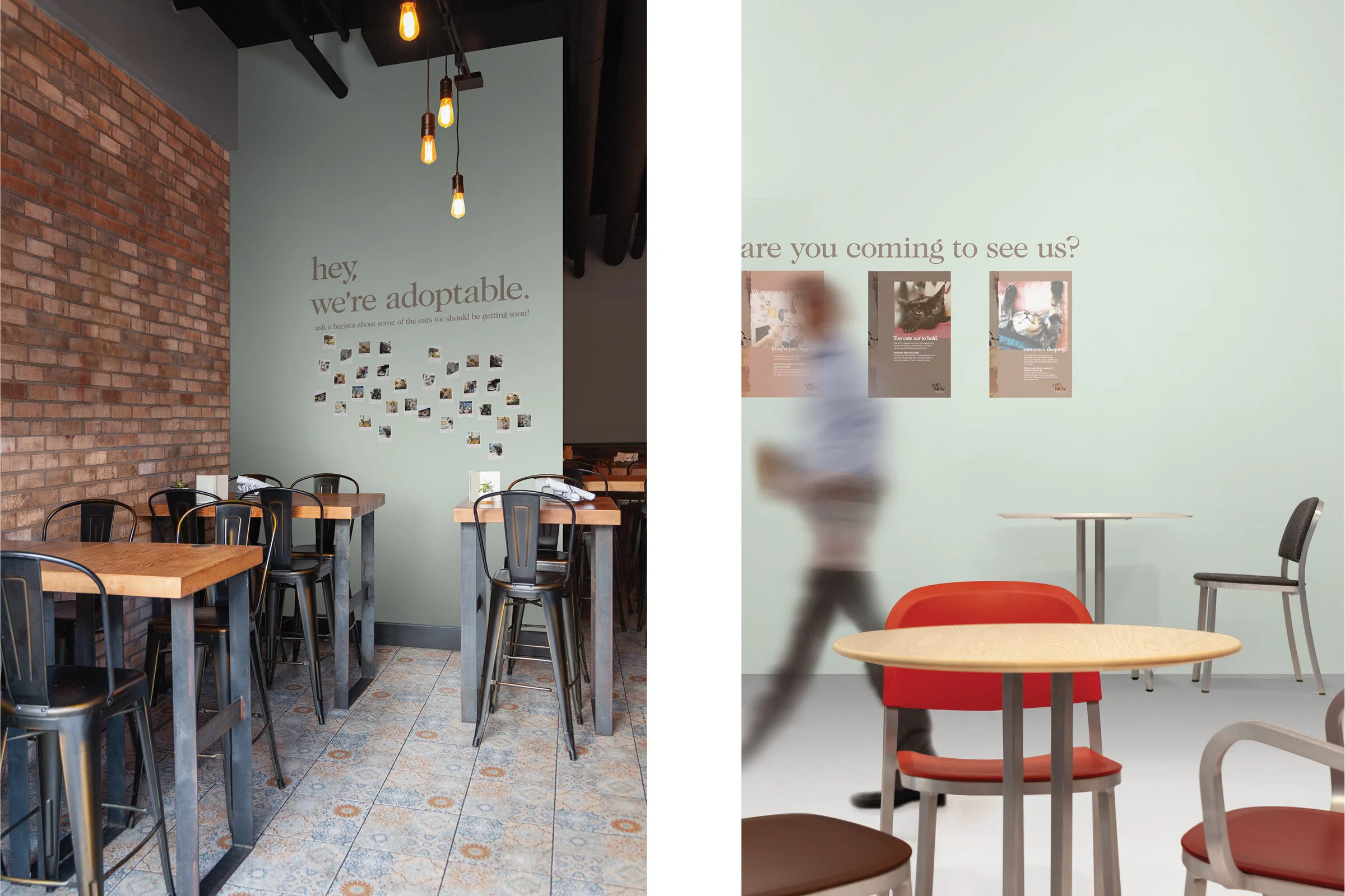 Portfolio Image Compilation2.jpg