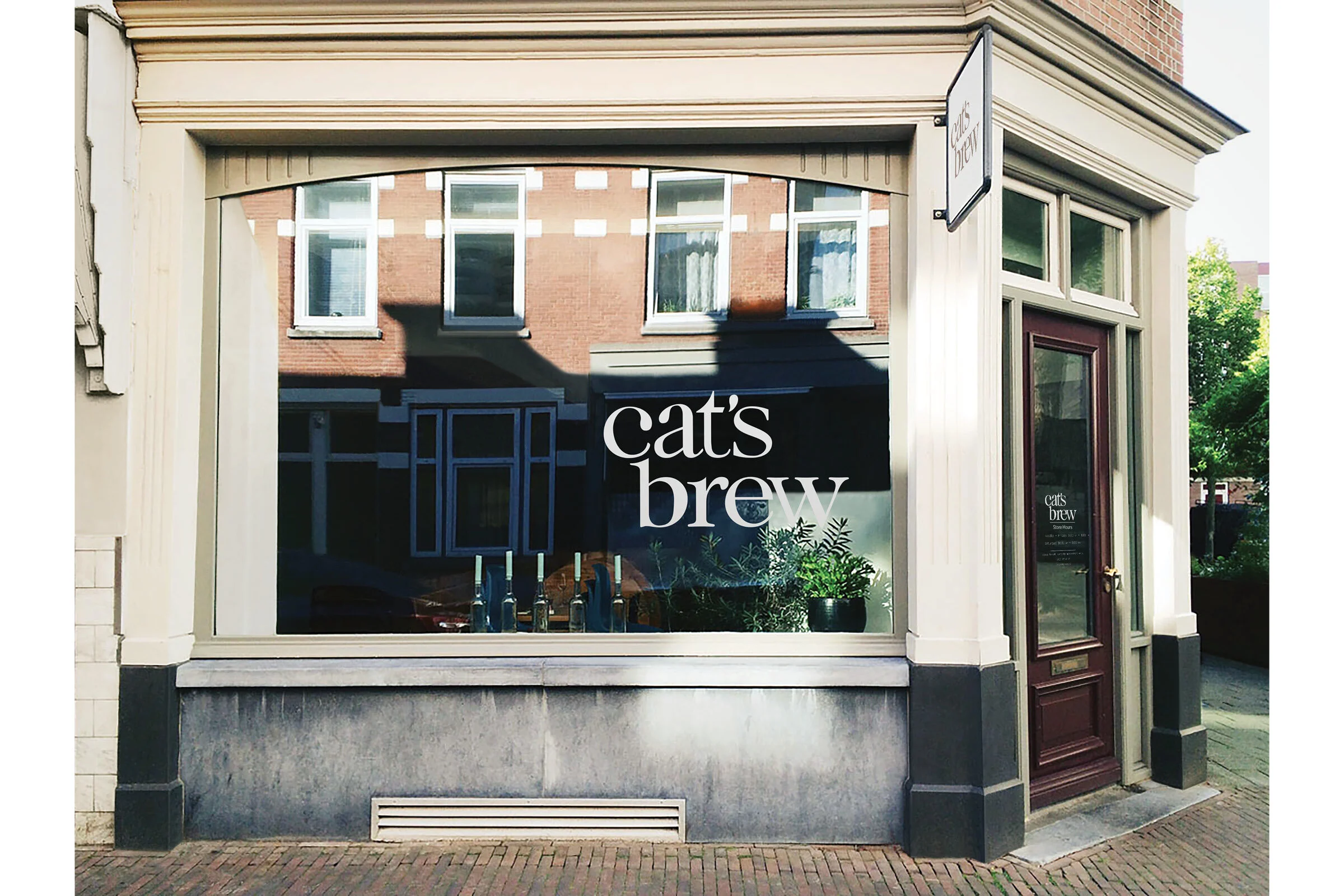 Portfolio Image Compilation.jpg