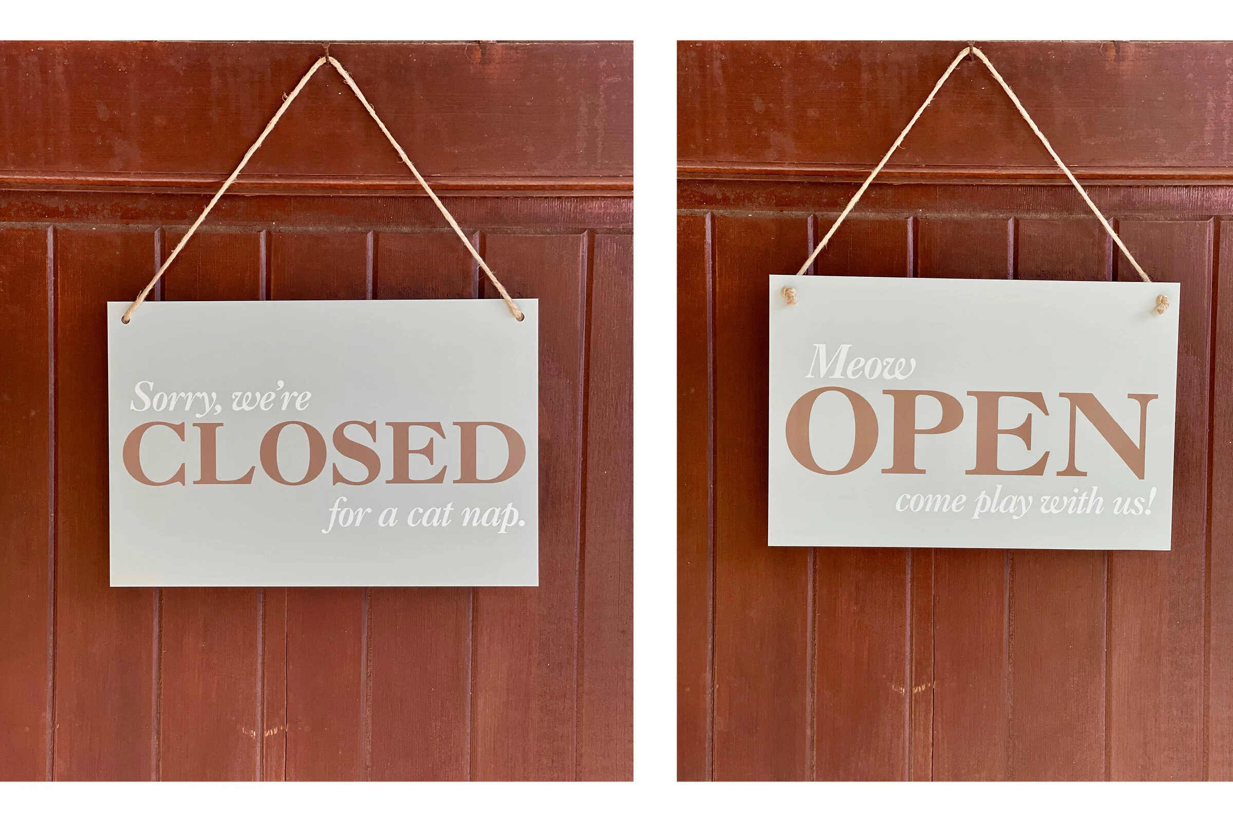 Portfolio Image Compilation5.jpg