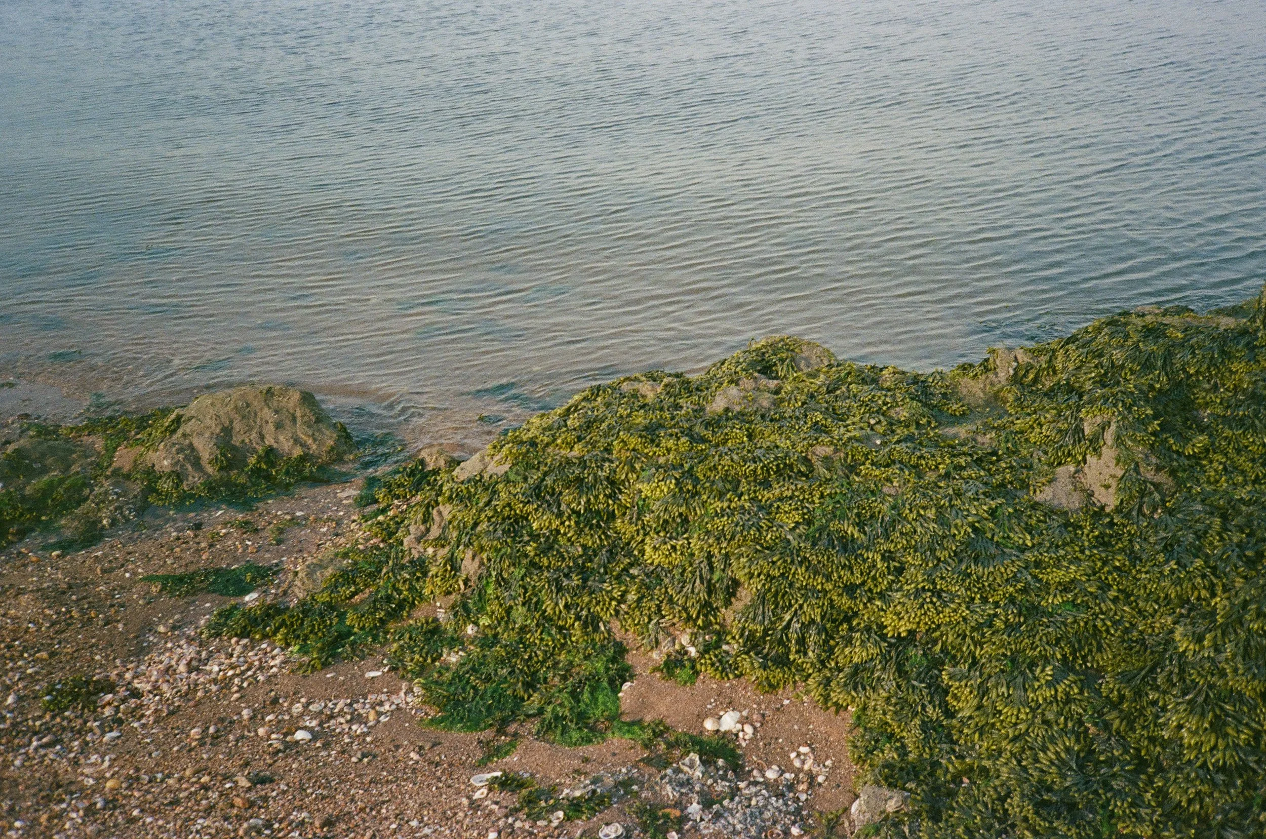 water off the coast of new haven