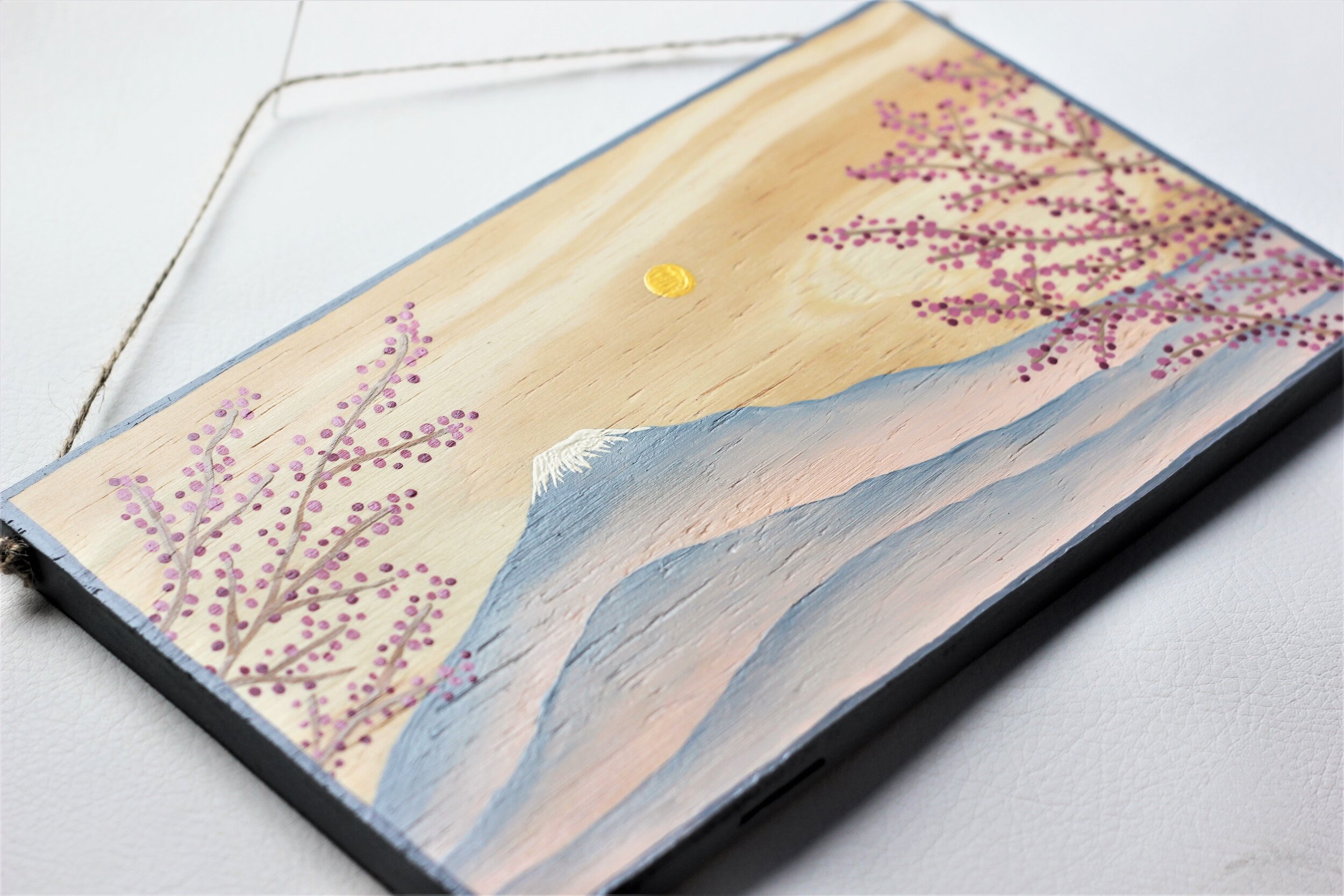 Nicole Commision- Mt Fuji Japan (1).JPG