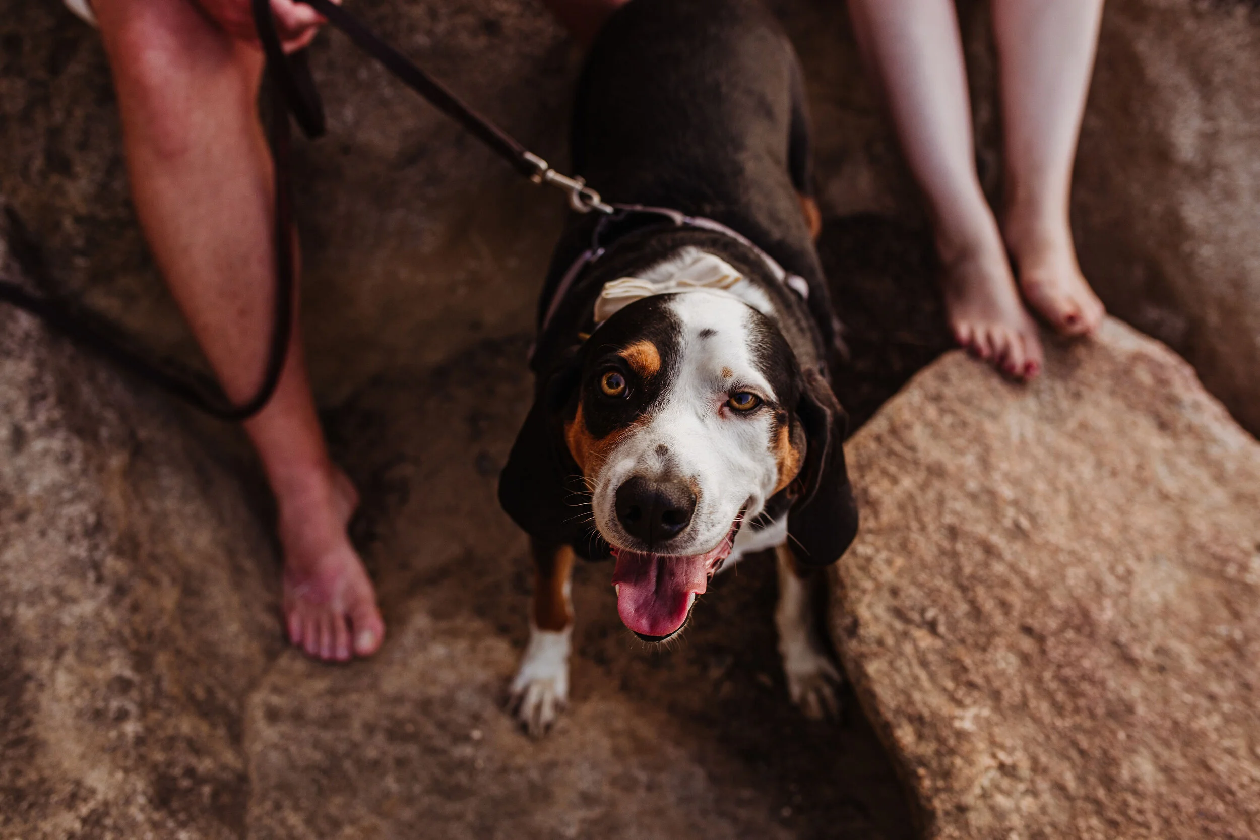 CaitlinandGaretBelleIsle_RichmondVAEngagementSession(50).jpg