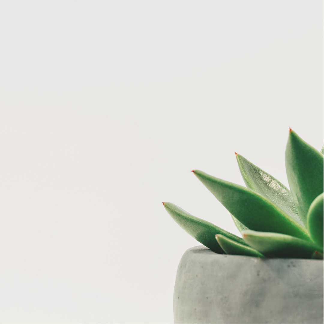 SUSTAINABLE (1).png
