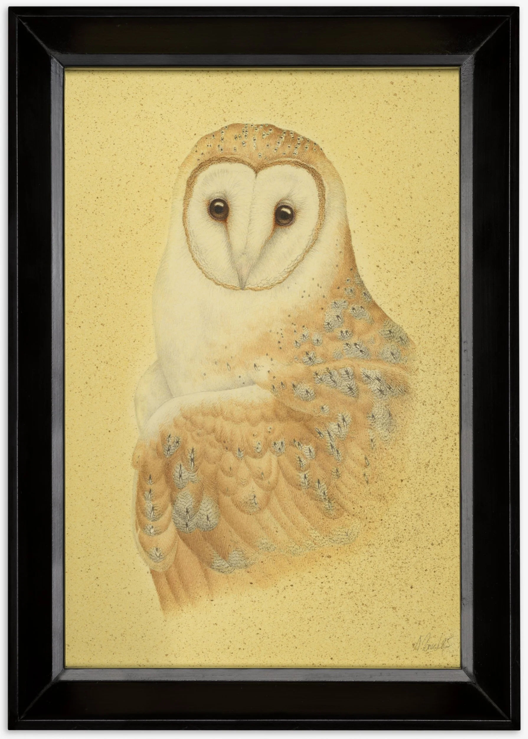 BARN OWL 2025 32CMX18CM (FRAMED SIZE)