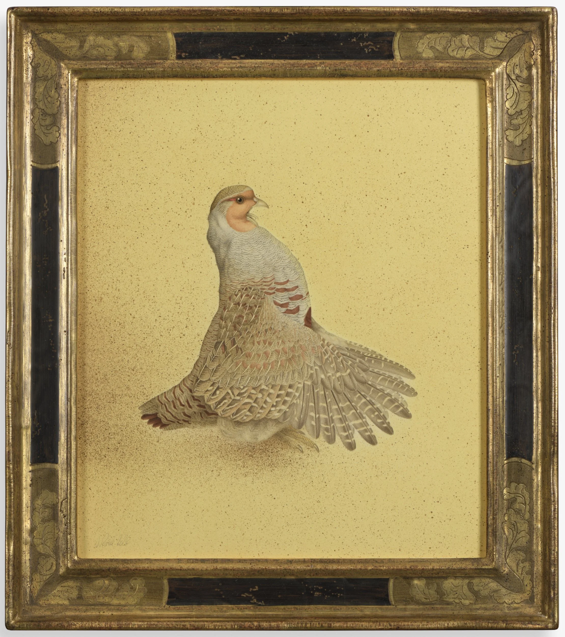 GREY PARTRIDGE 2024 61CMX53CM (FRAMED SIZE)