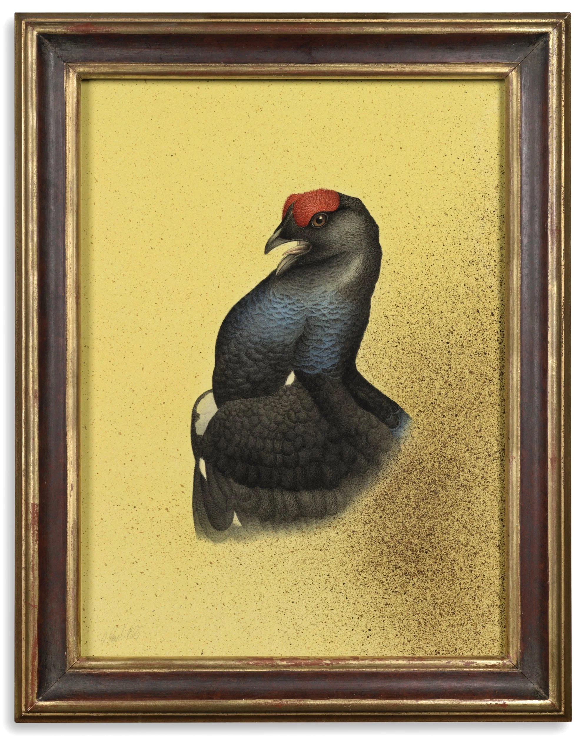 BLACK GROUSE 2025 47CMX37CM (FRAMED SIZE)